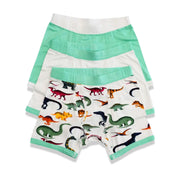 Dino Dreamers Boys' Boxer Briefs