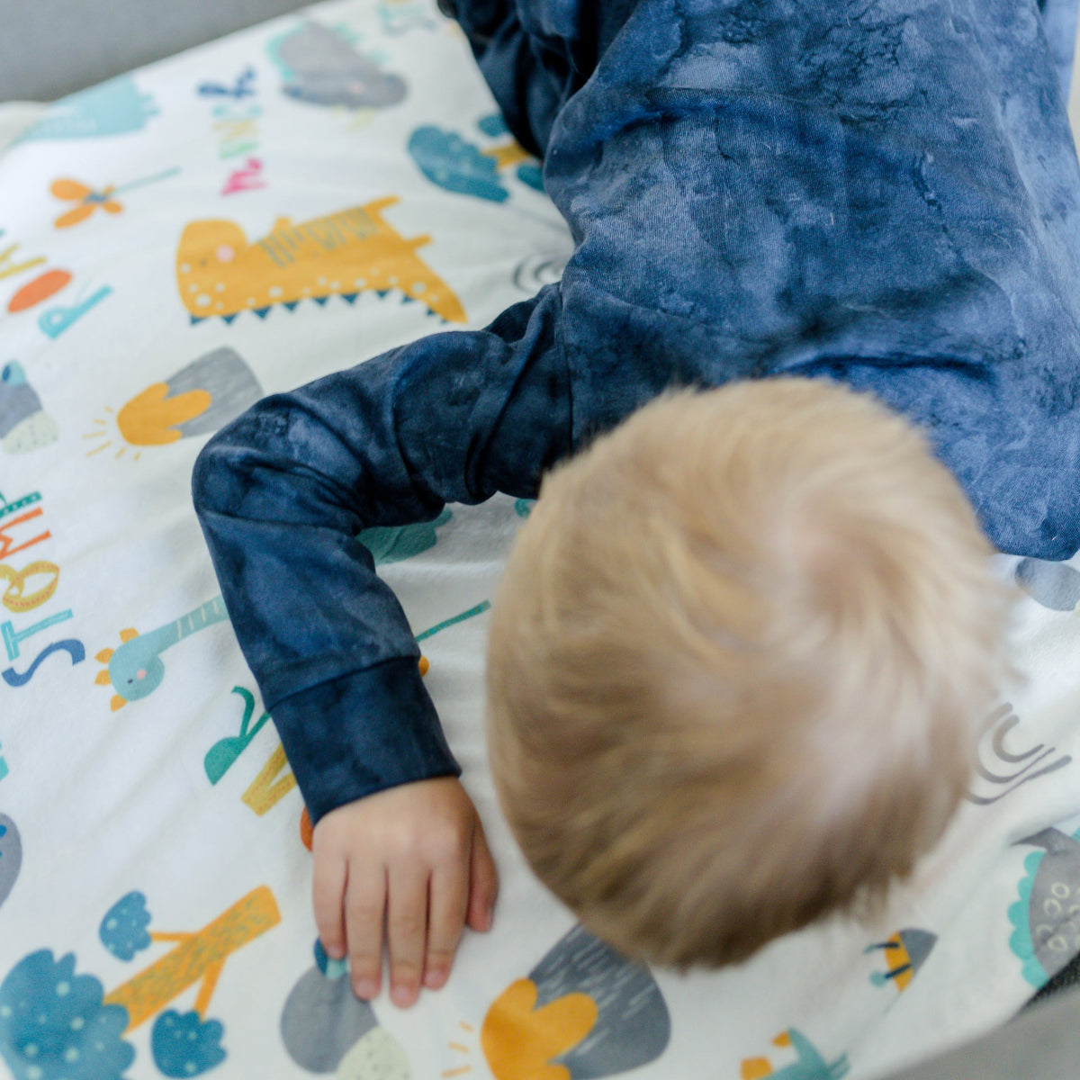 Dinoland Blue Minky Baby Blanket
