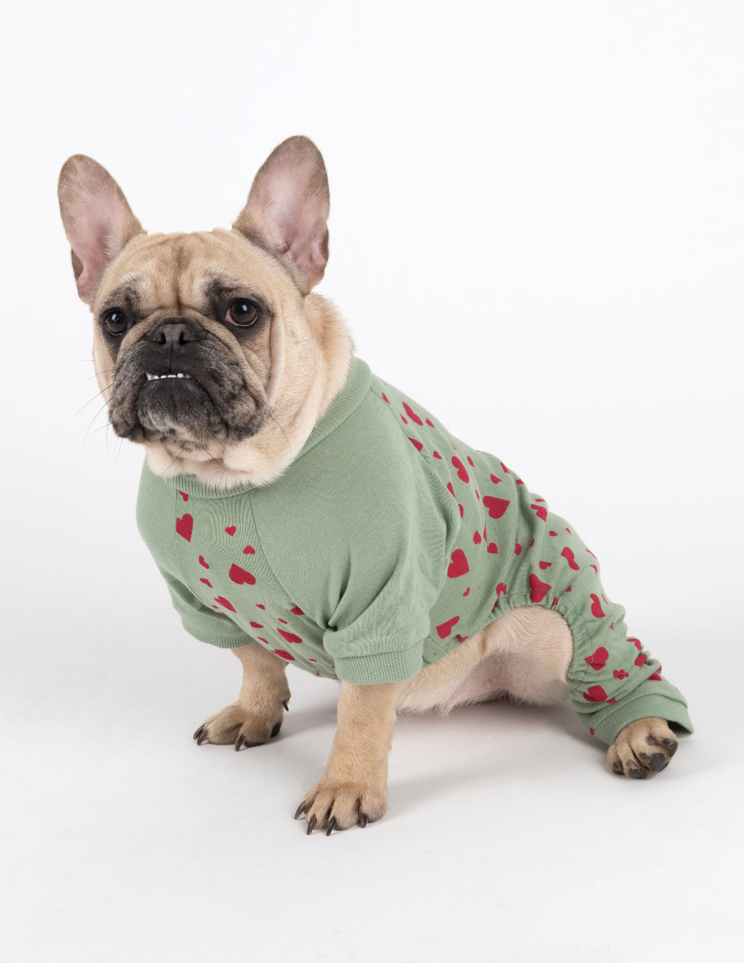 Small Dog Cotton Pajamas