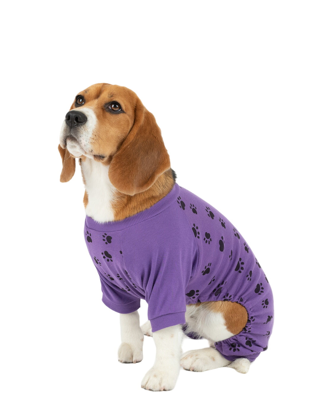 Dog Paw Print Pajamas