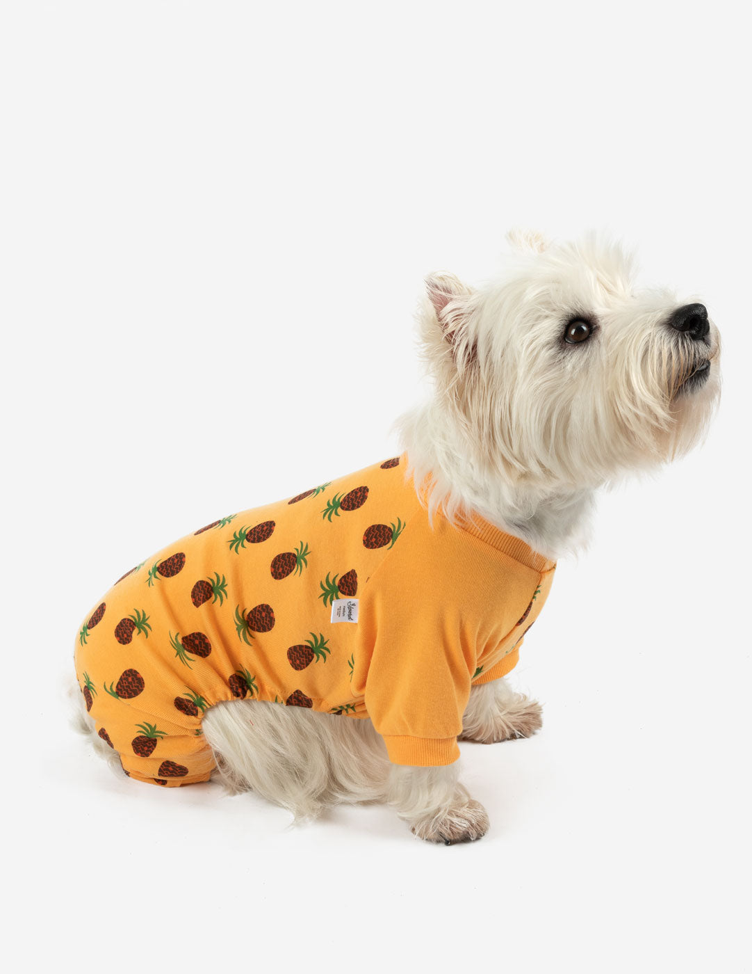 Dog Food Print Pajamas
