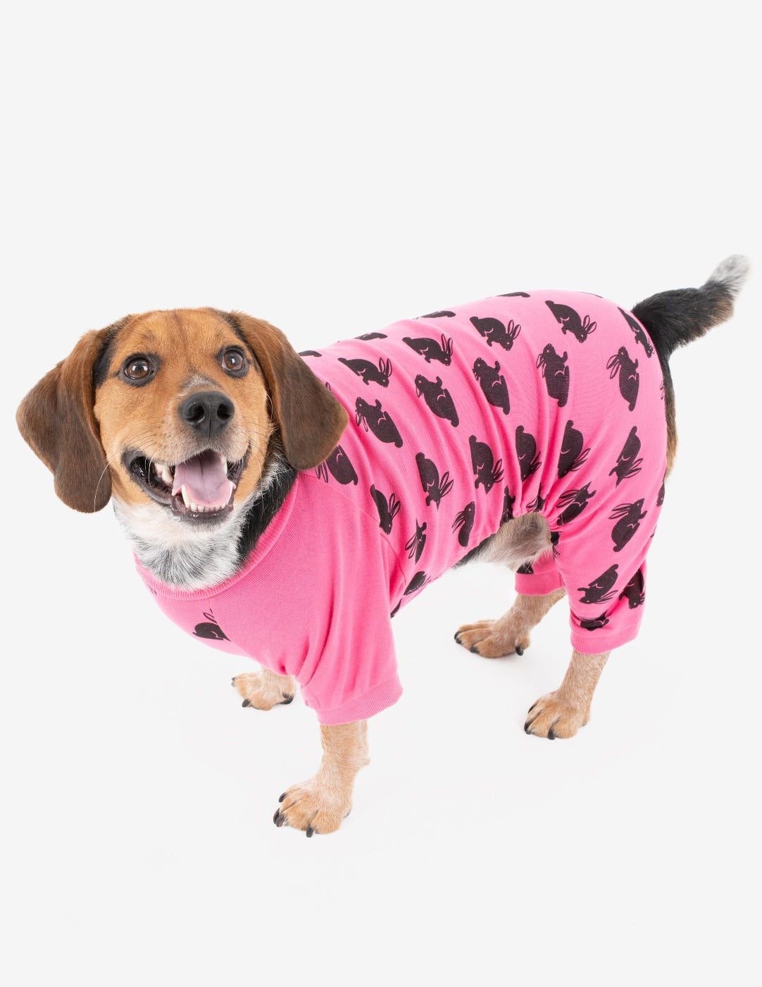 Dog Bunny Pajamas