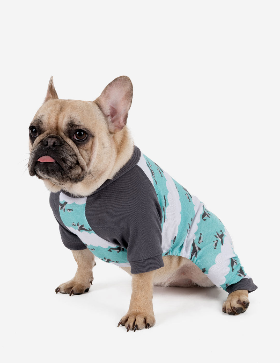 Small Dog Cotton Pajamas
