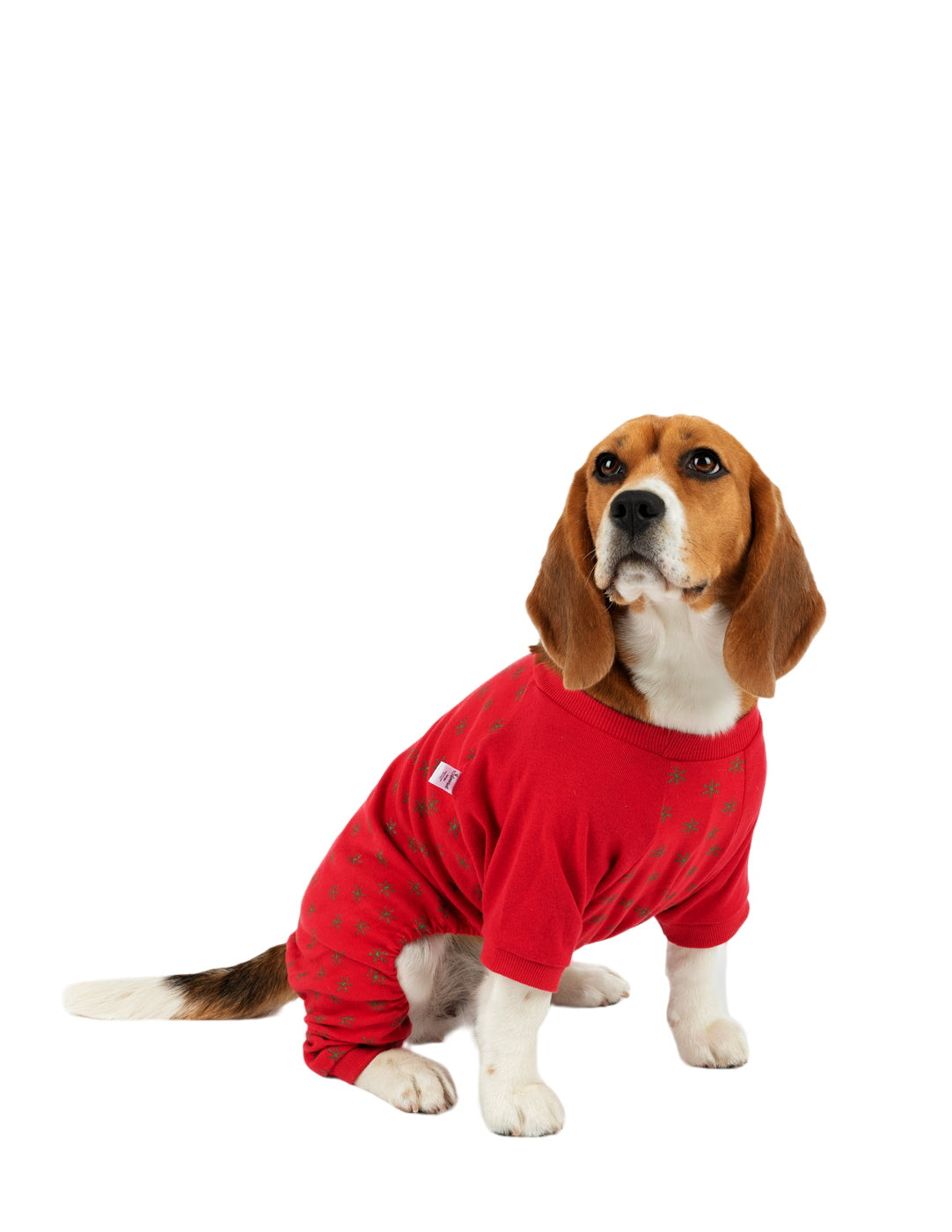 Small Dog Cotton Pajamas