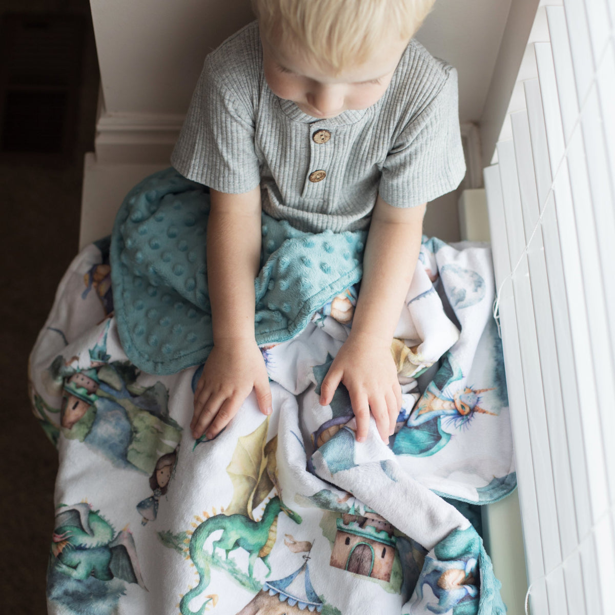 Dragons & Knights Minky Baby Blanket