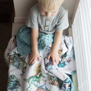Dragons & Knights Minky Baby Blanket
