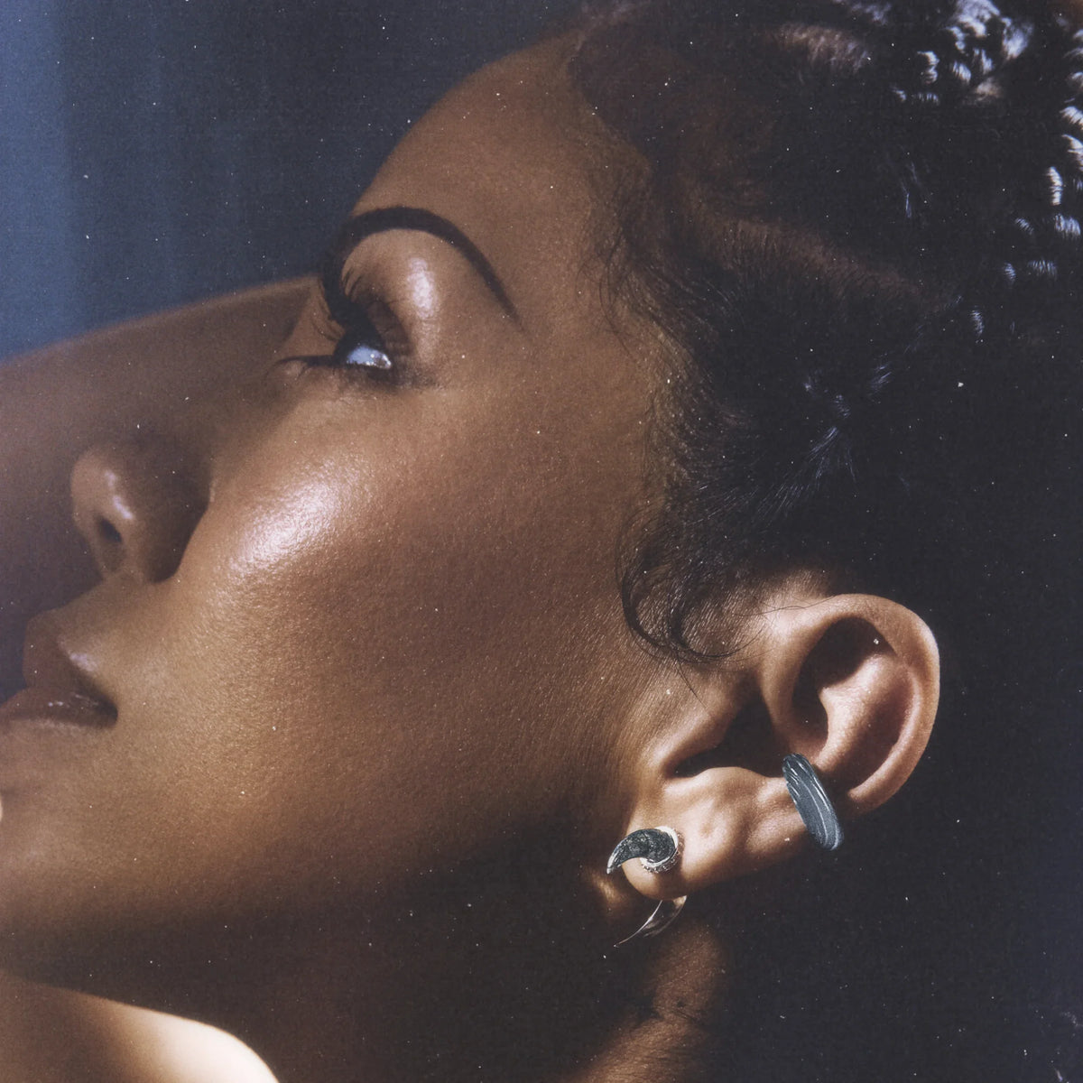 Sabertooth Earrings