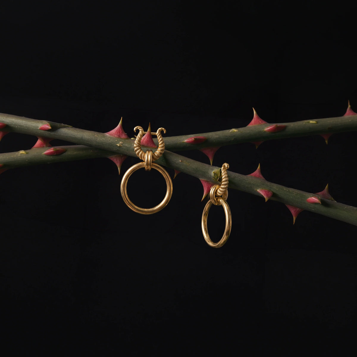 Omega Cascading Hoops