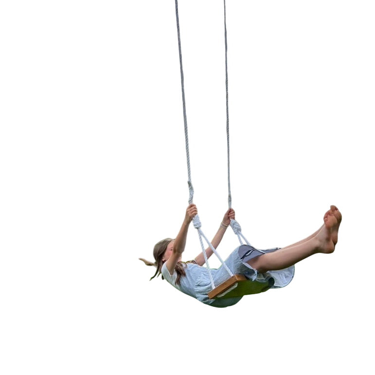 Final Chance – Hickory Wood Bench Tree Swing (discontinued)