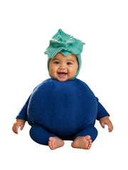 Baby Blueberry Costume