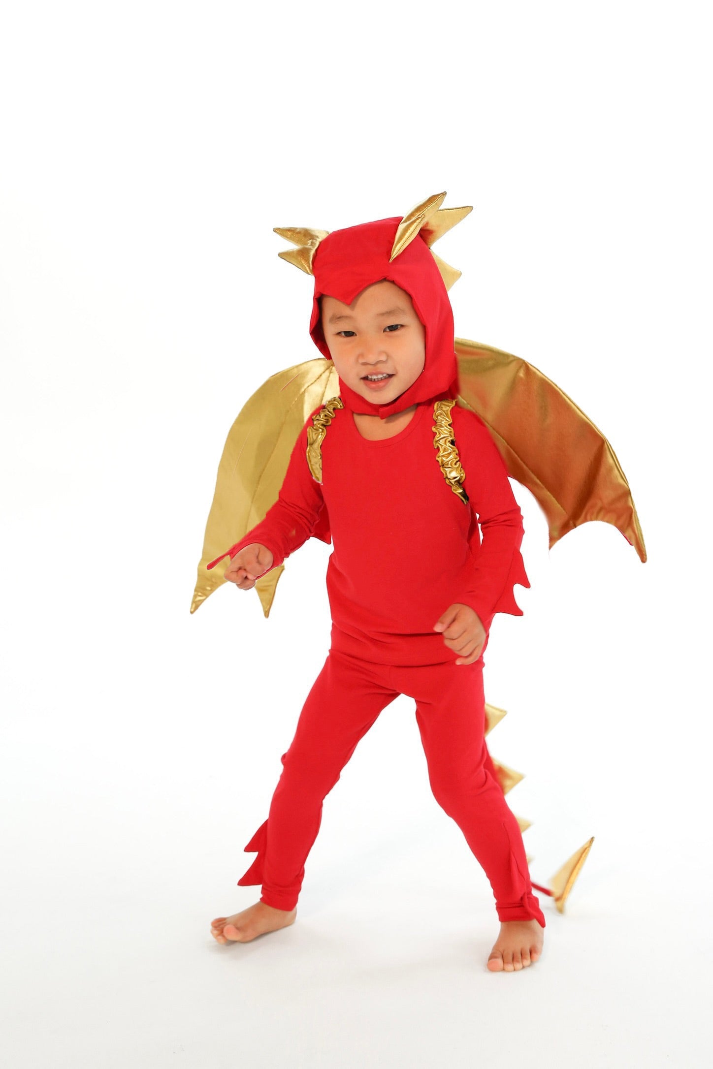 Sunfire Red Dragon With Gold Wings
