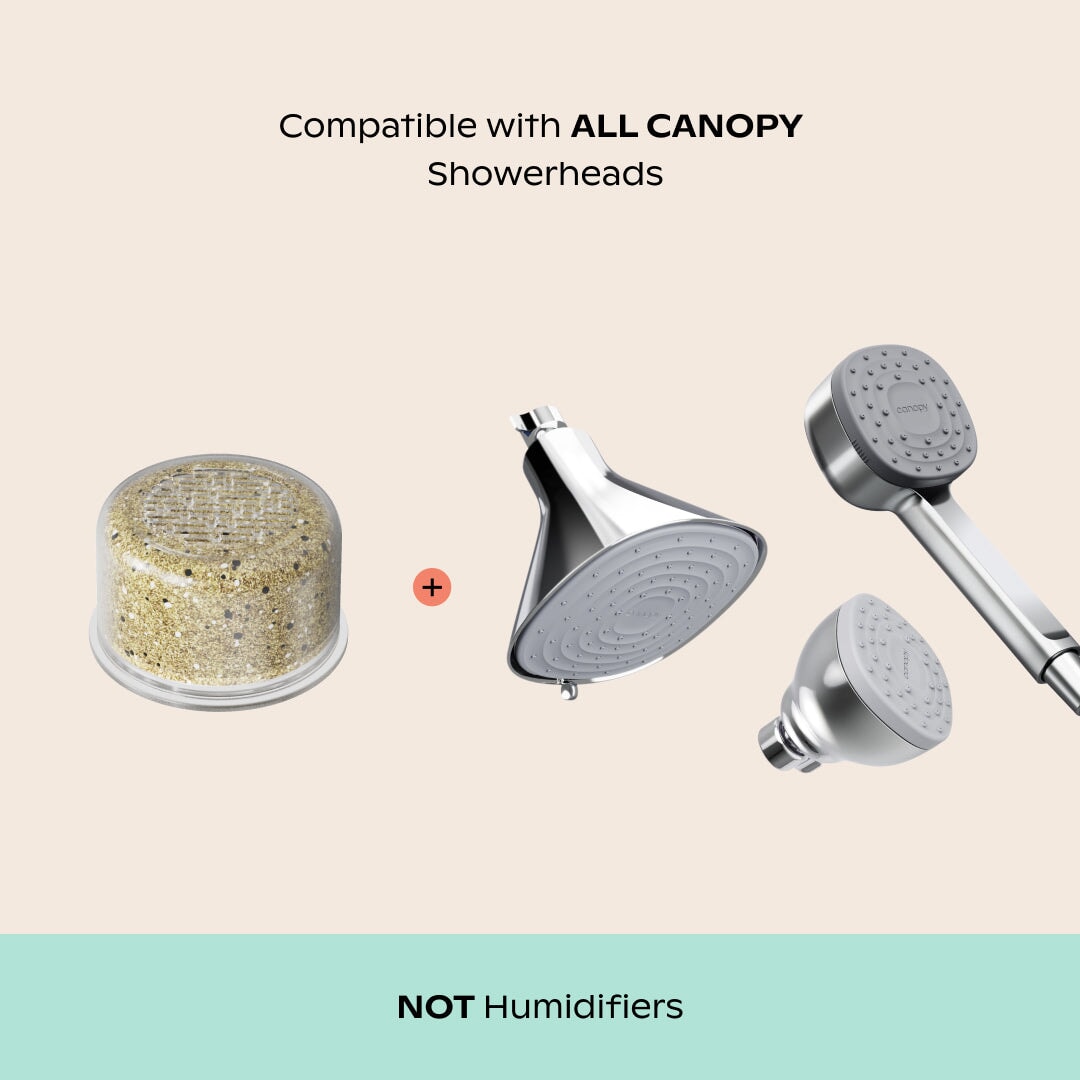 Showerhead Filter Bundle
