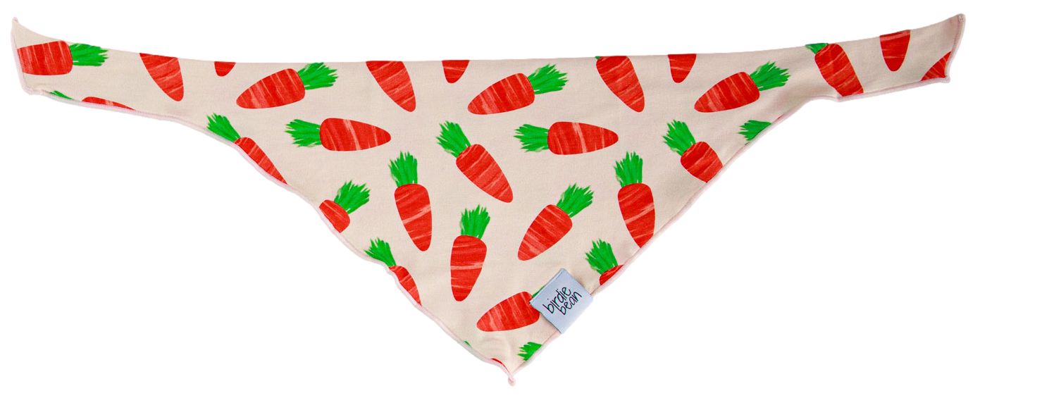 Ezra Pet Bandana