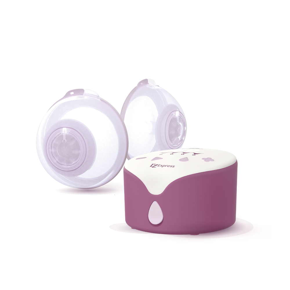 Ez Express Electric Breast Pump (collective)