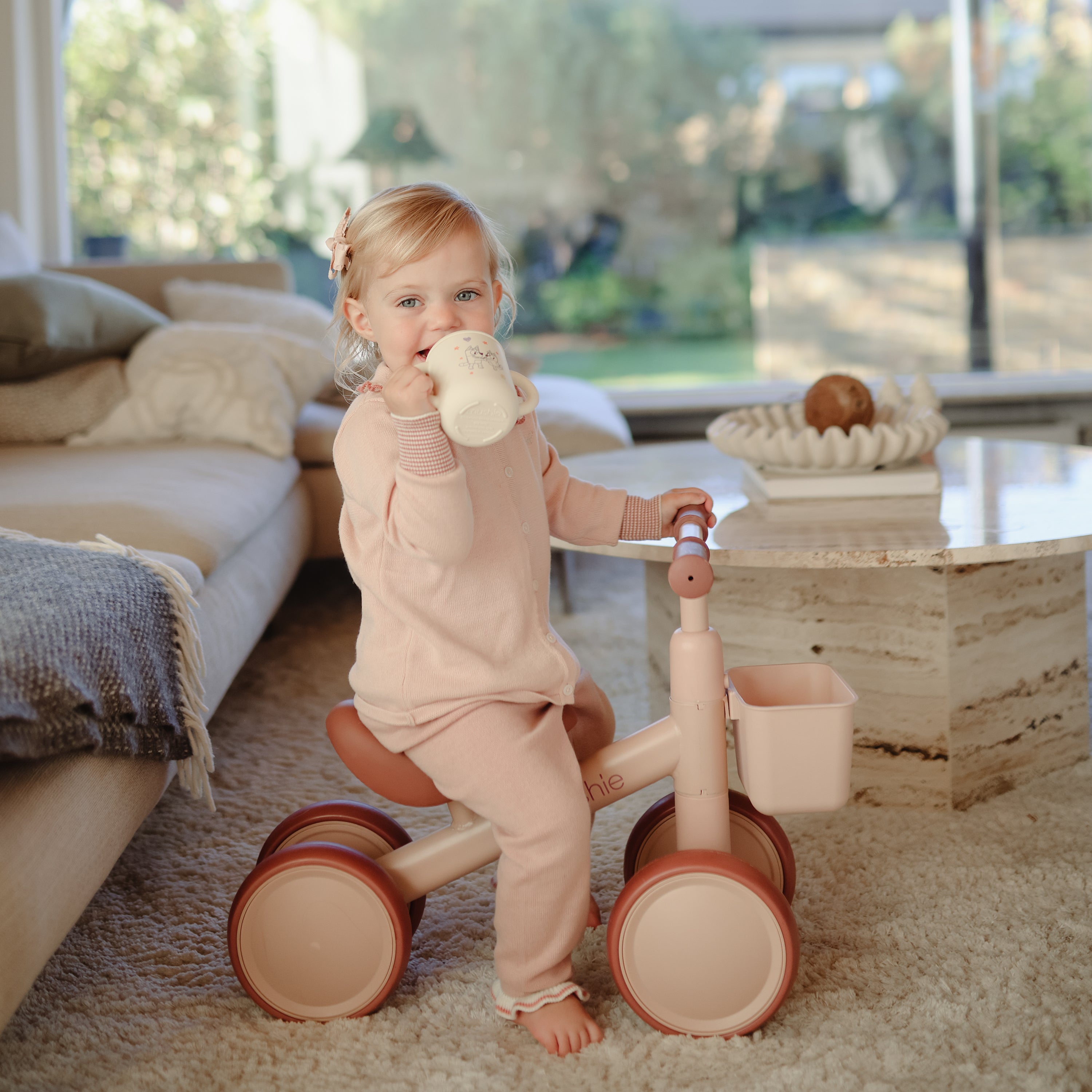 Mini Toddler Bike