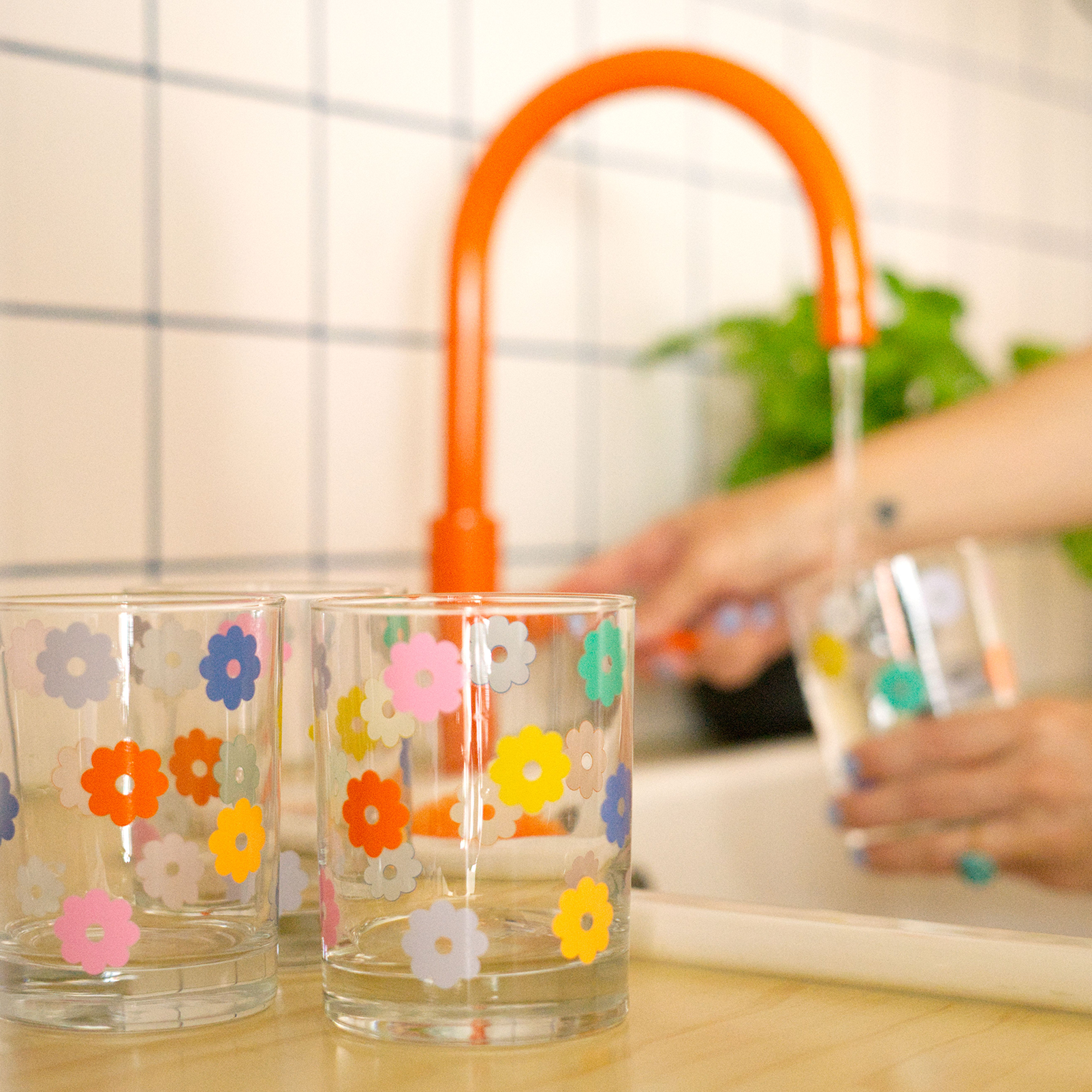 Rocks Glass Set - Daisy