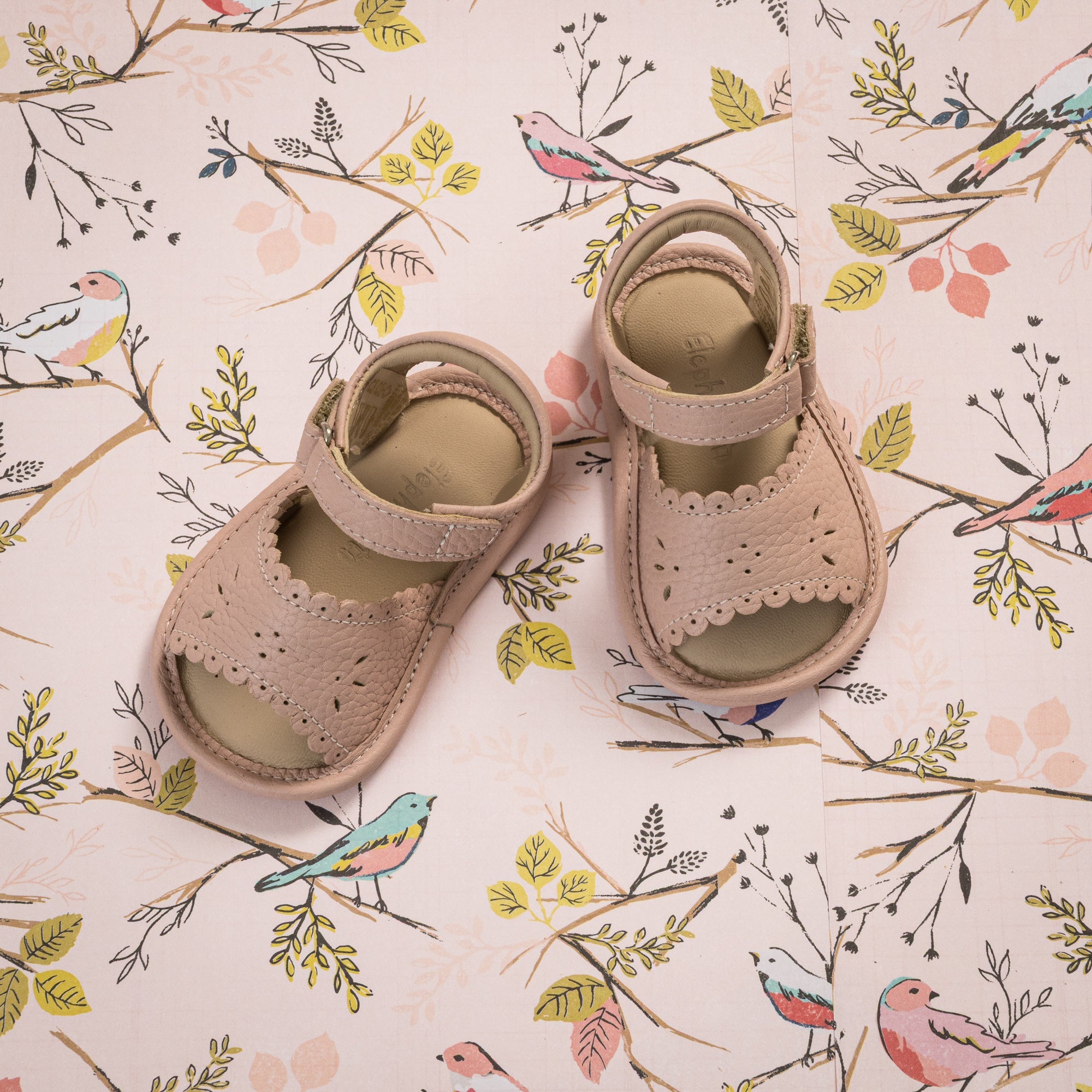 Sandal W/scallop Pink