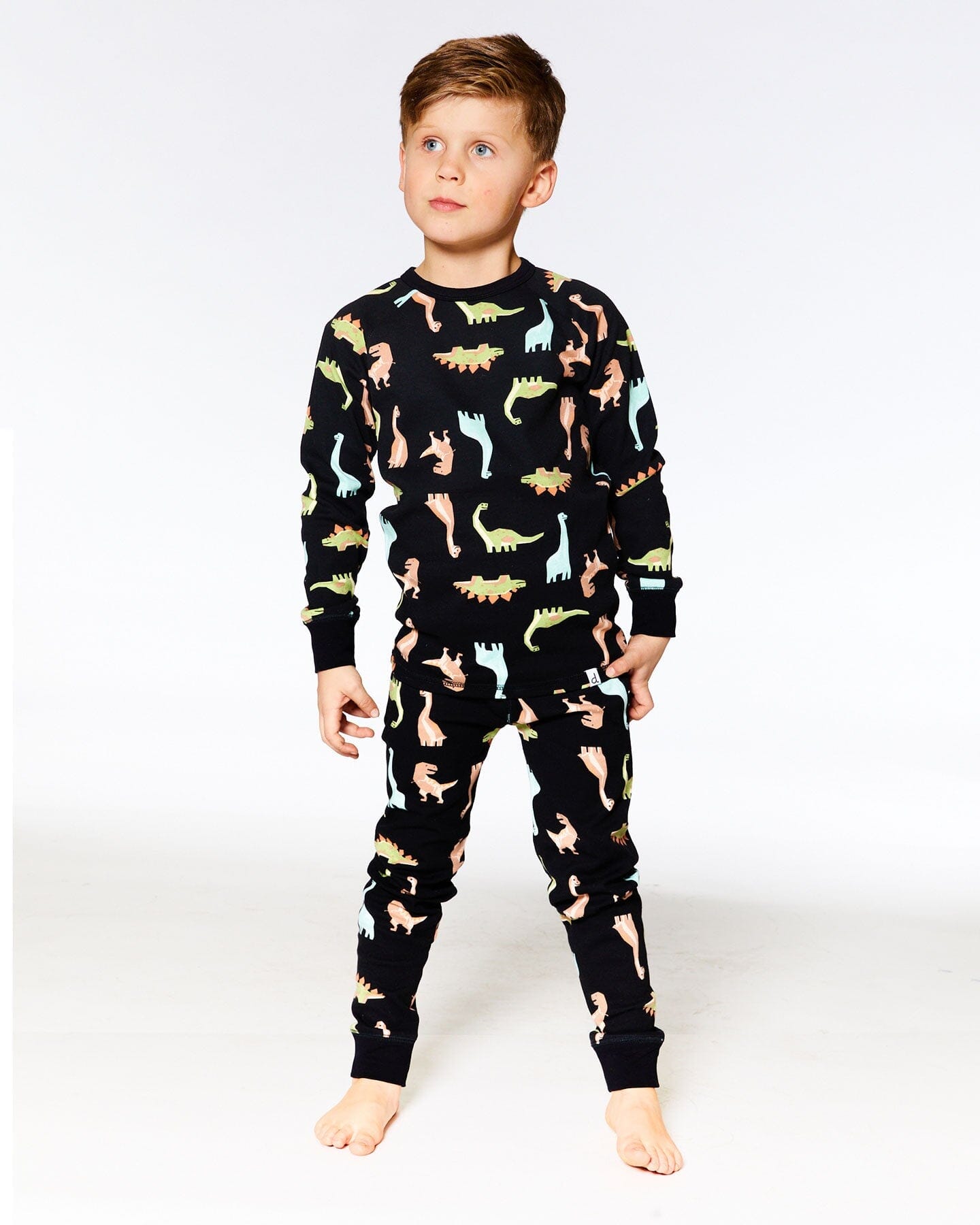 Organic Cotton Printed Dinosaurs Two Piece Pajama Set Black