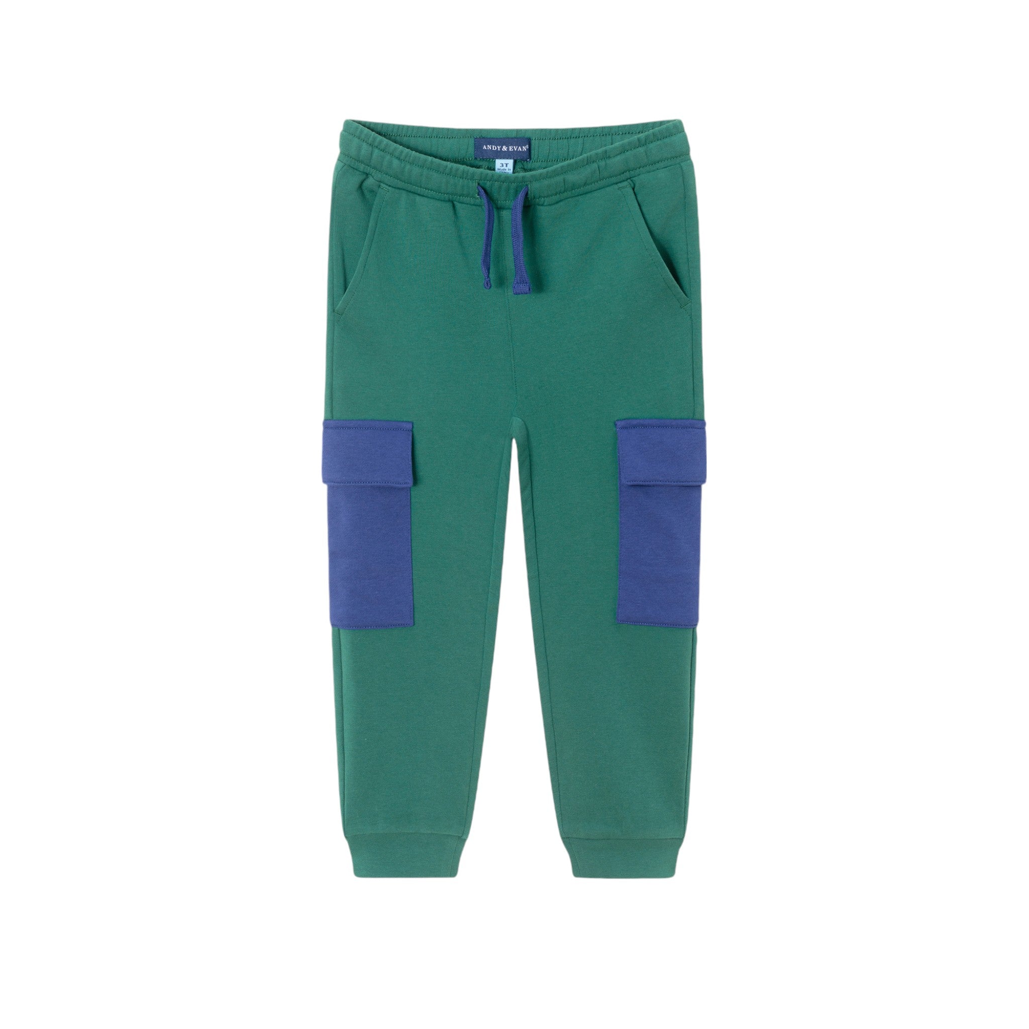 Kids Navy & Green Color Blocked Terry Hoodie & Pant Set