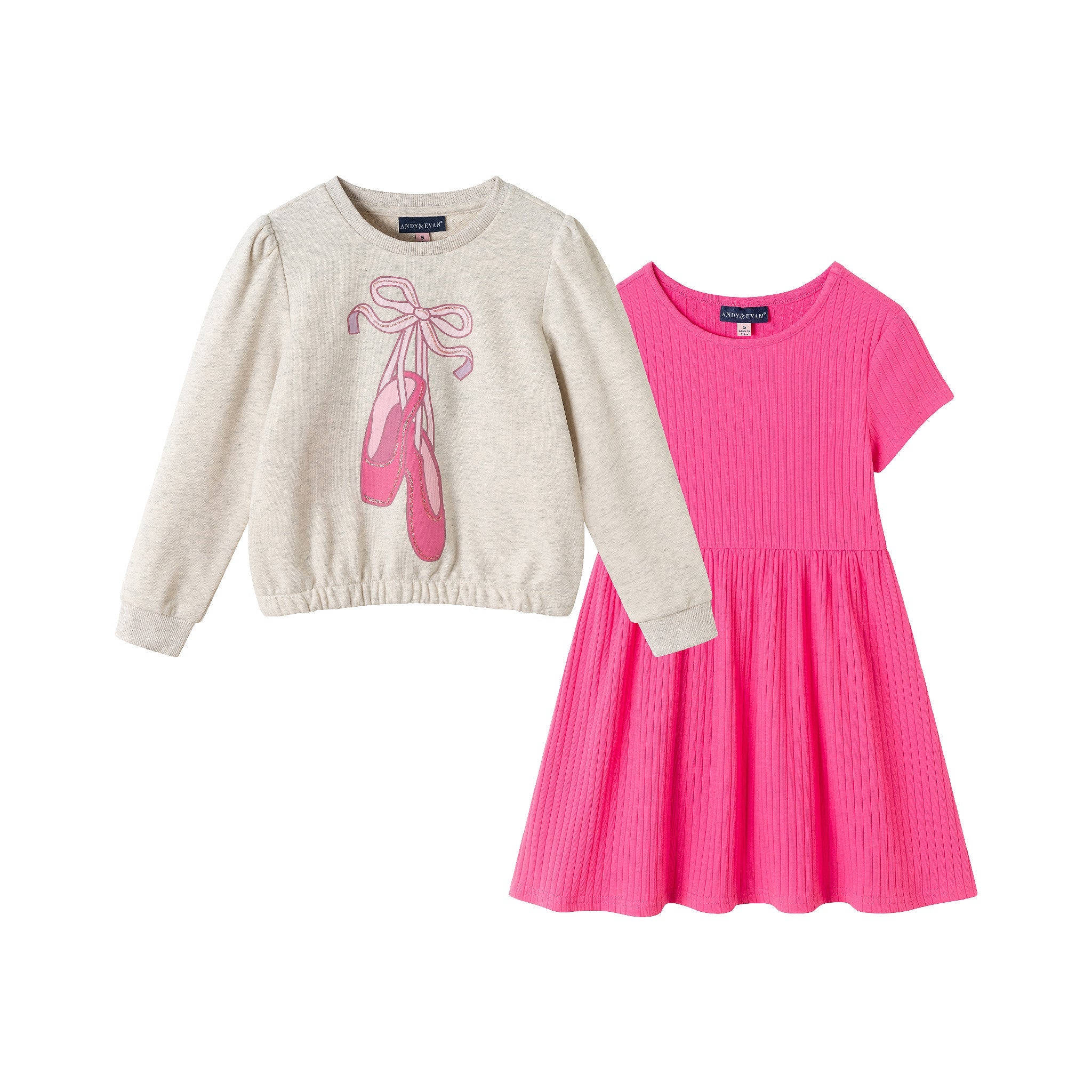 Girls Sweatshirt & Dress Set | Pink Ballerina