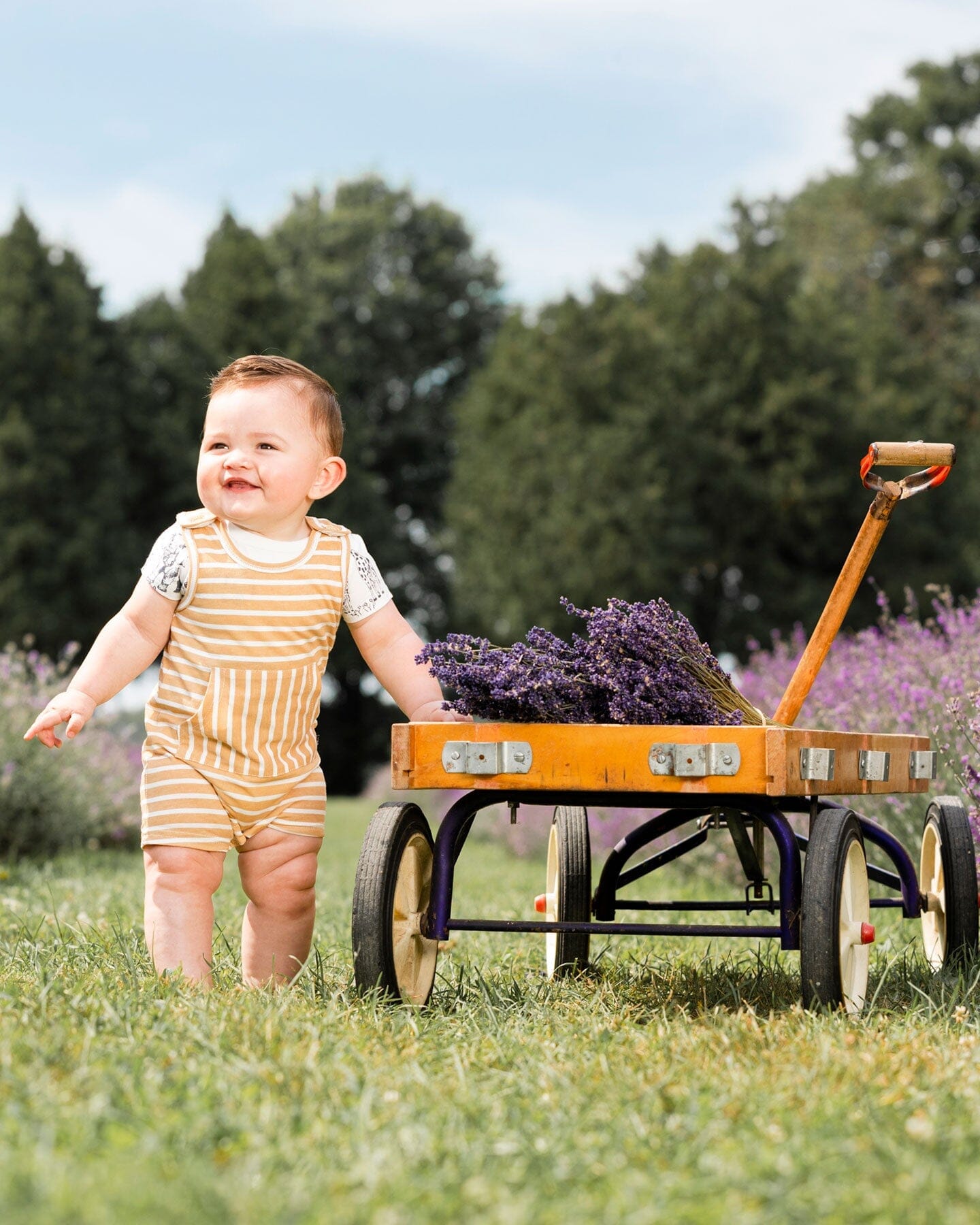 Organic Cotton Onesie And Shortall Set Sand Stripe