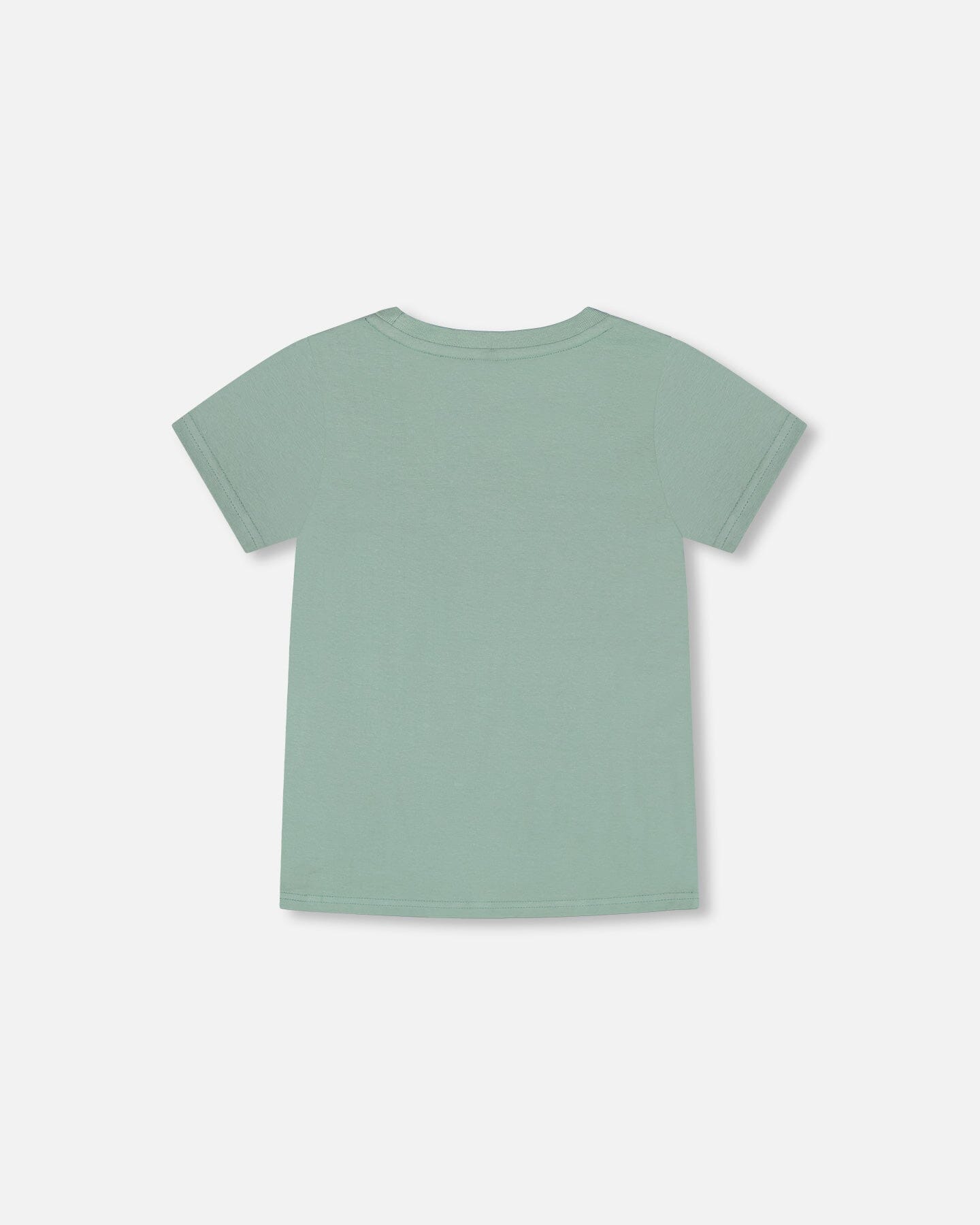 Organic Cotton T-shirt With Print Sage Green