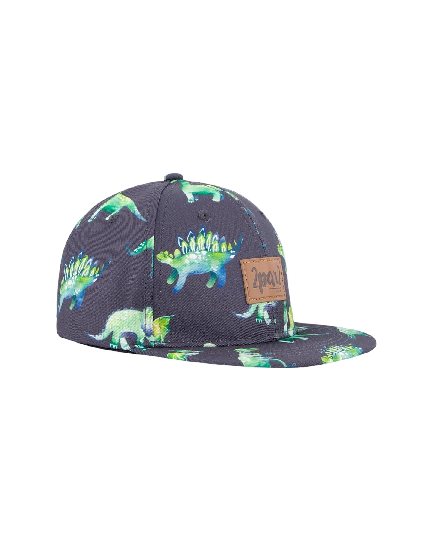 Cap Grey Printed Dinosaurs