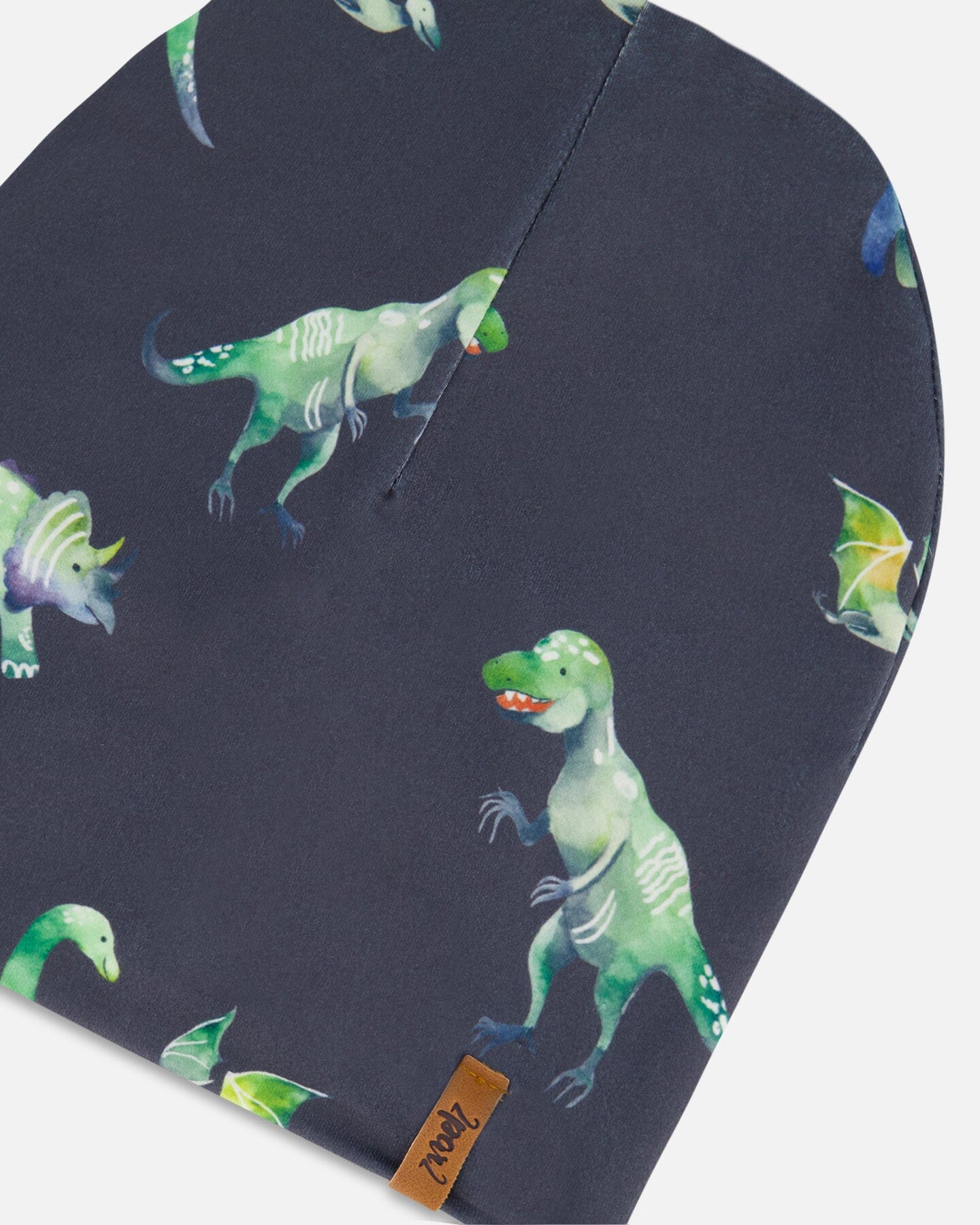 Outdoor Hat Grey Printed Dinosaurs