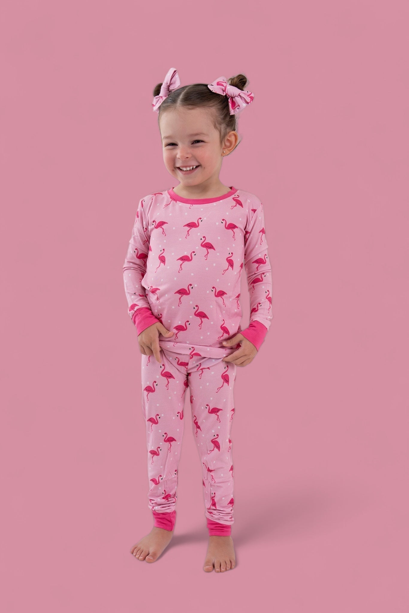 Flocking Flamingos Dream Bow Hair Clips