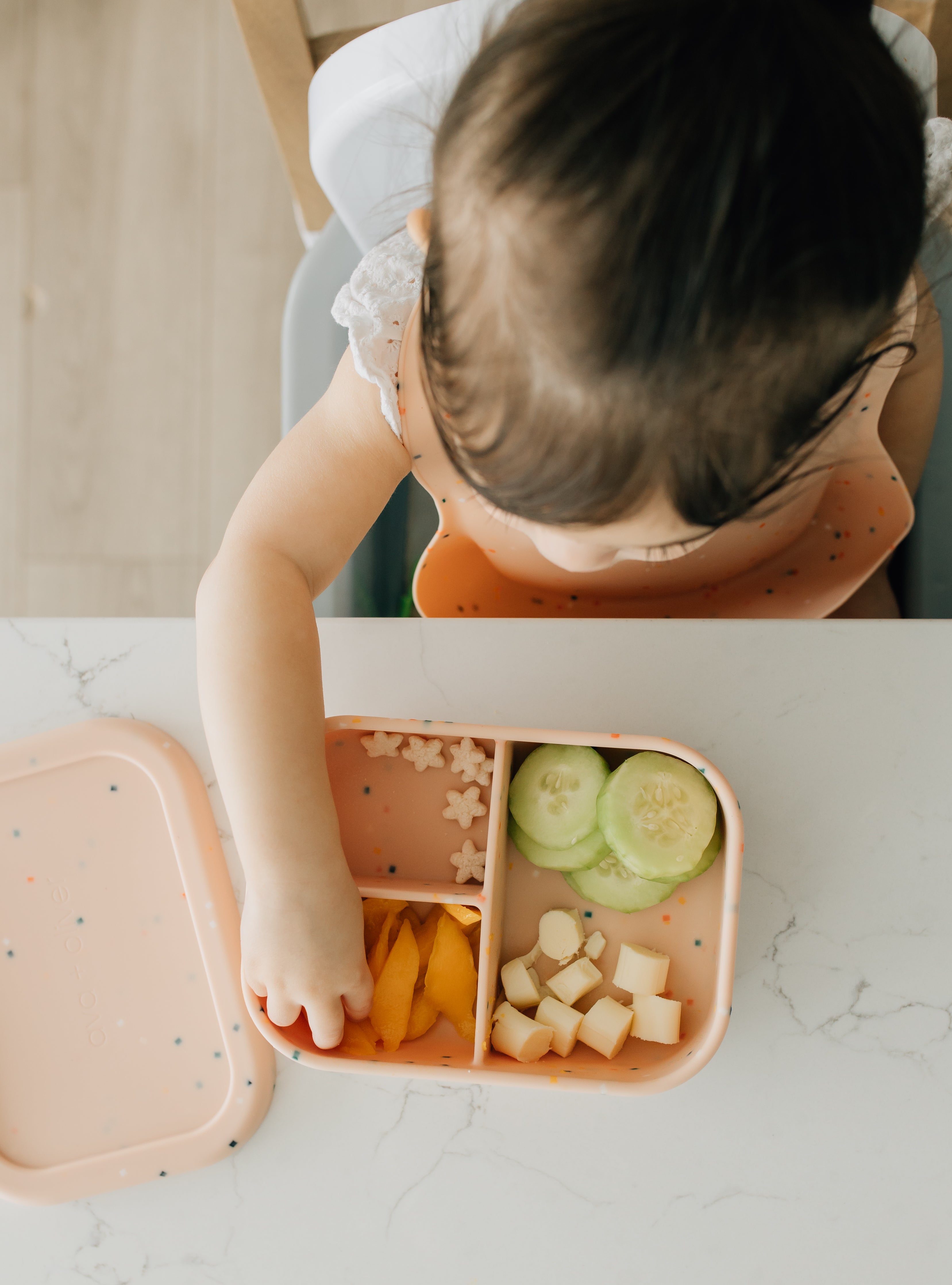 Bento Box