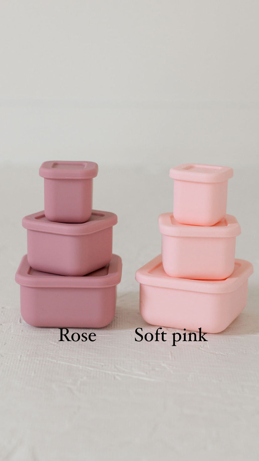 Silicone Bento Box Set/set Of 3