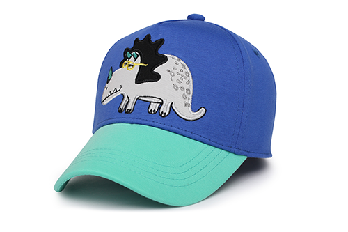 Toddler/kids Ball Cap - Dino