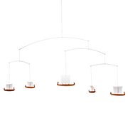 Viking 5.