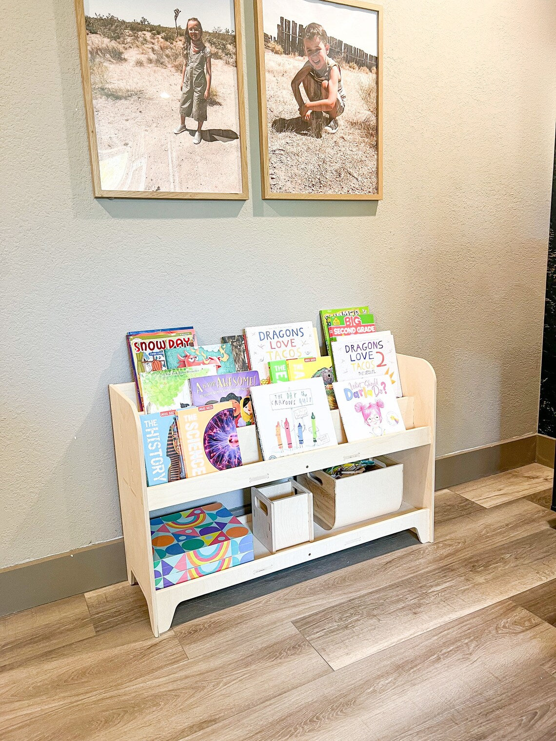 Frank- Toy Shelf