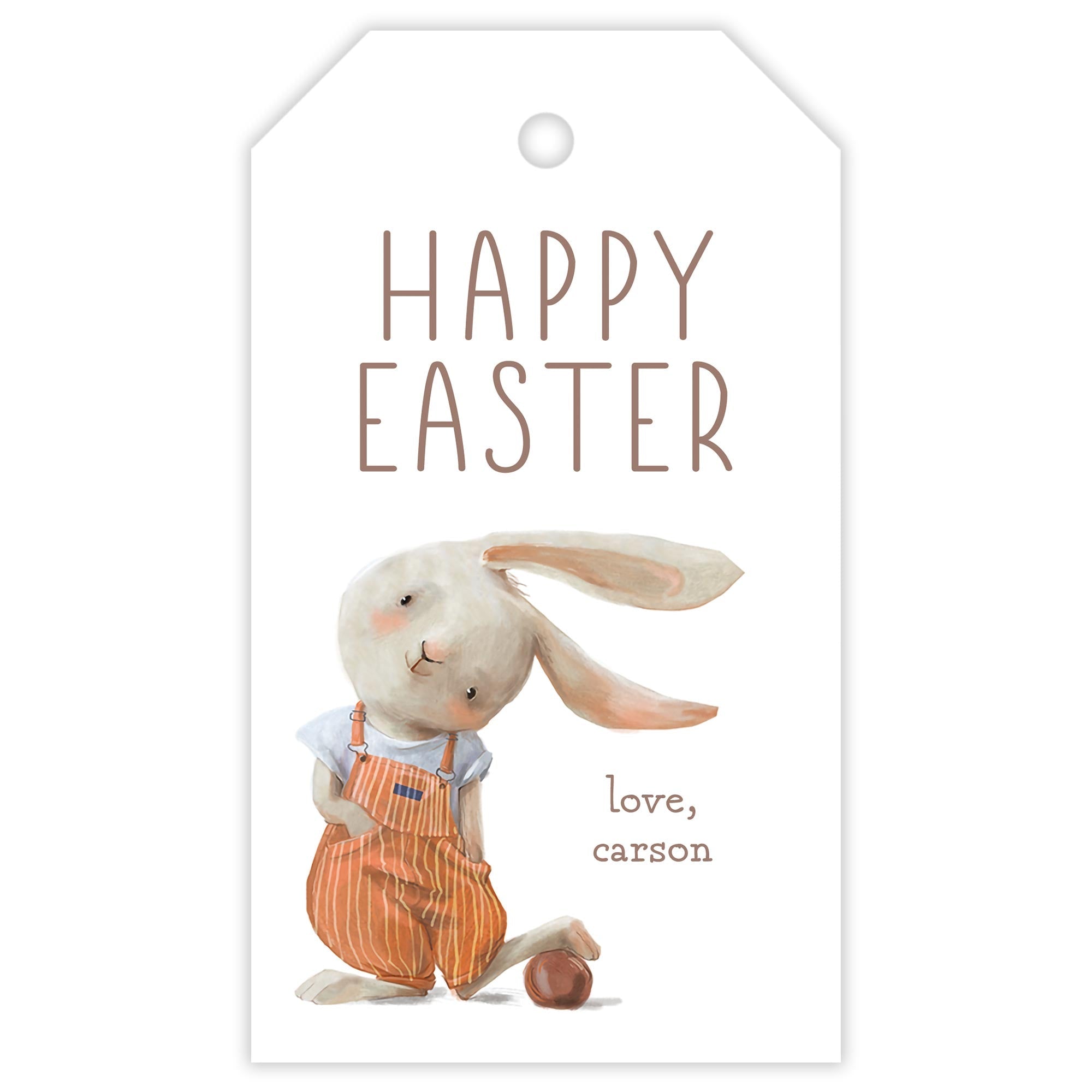Boy Bunny Easter Tag
