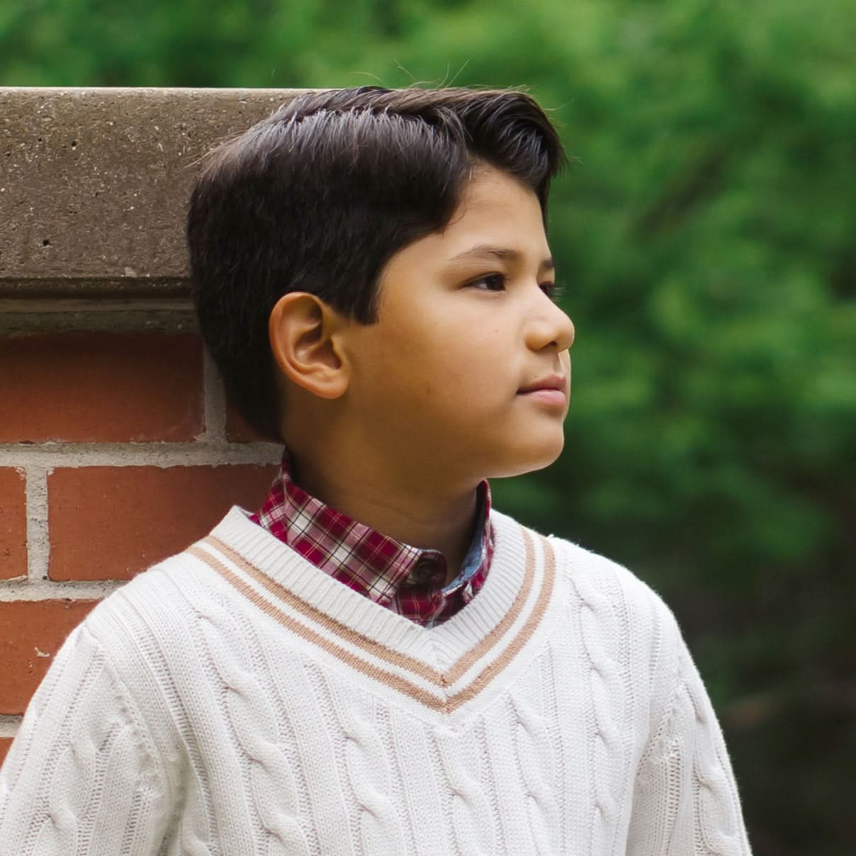 V-neck Cricket Sweater