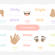 5 Senses Flashcards