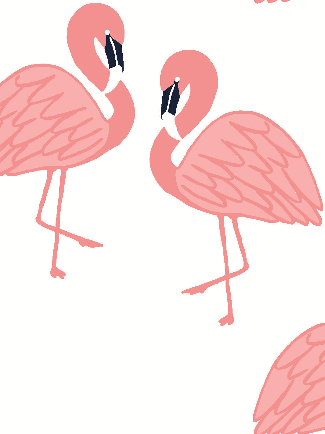 'flamingos' Wallpaper By Tea Collection - Pink
