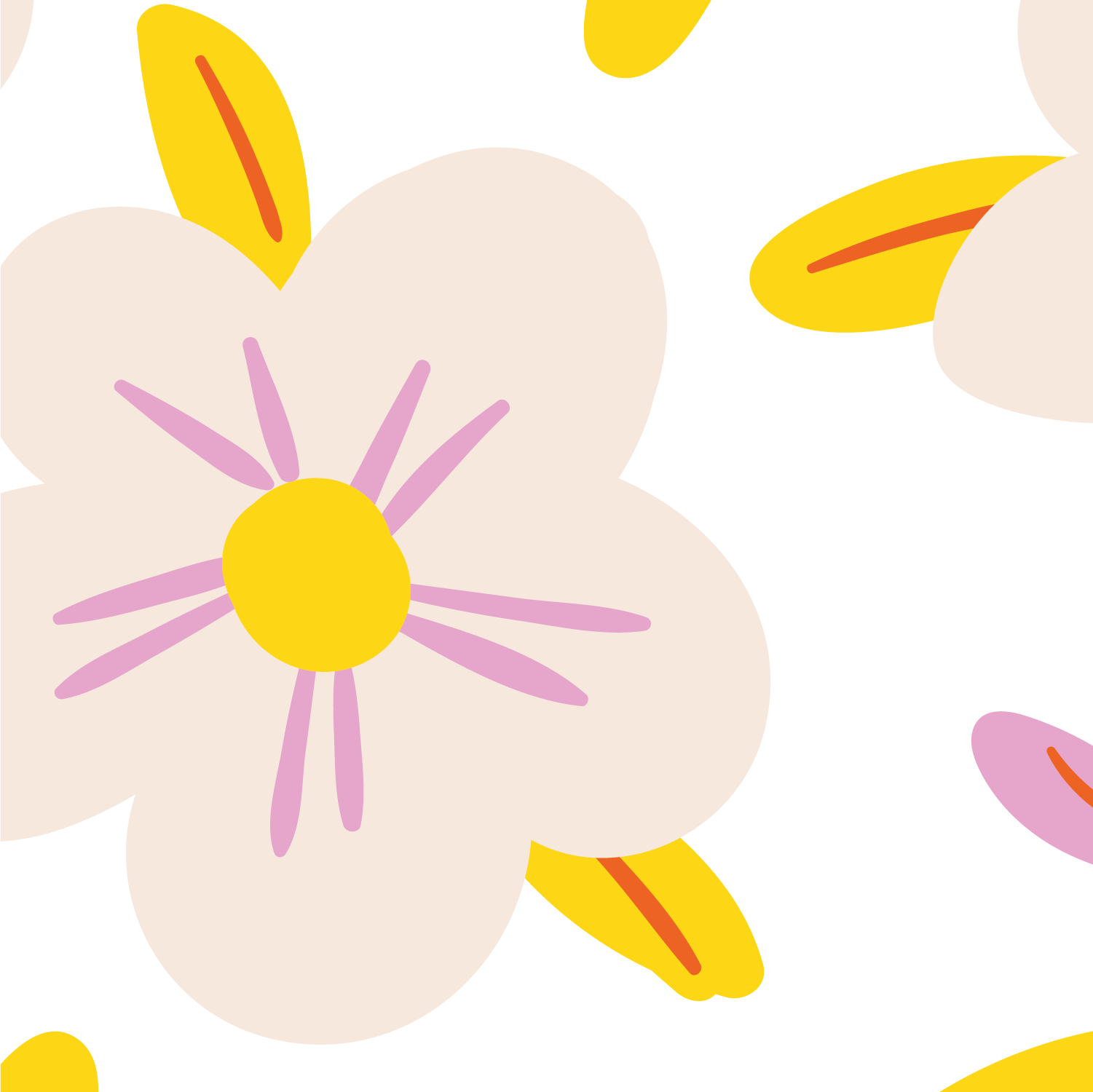 Flower Delight Contact Paper  - Pack Of 3 Rolls (24x48" Each)