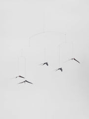 Flying Swallows 5.