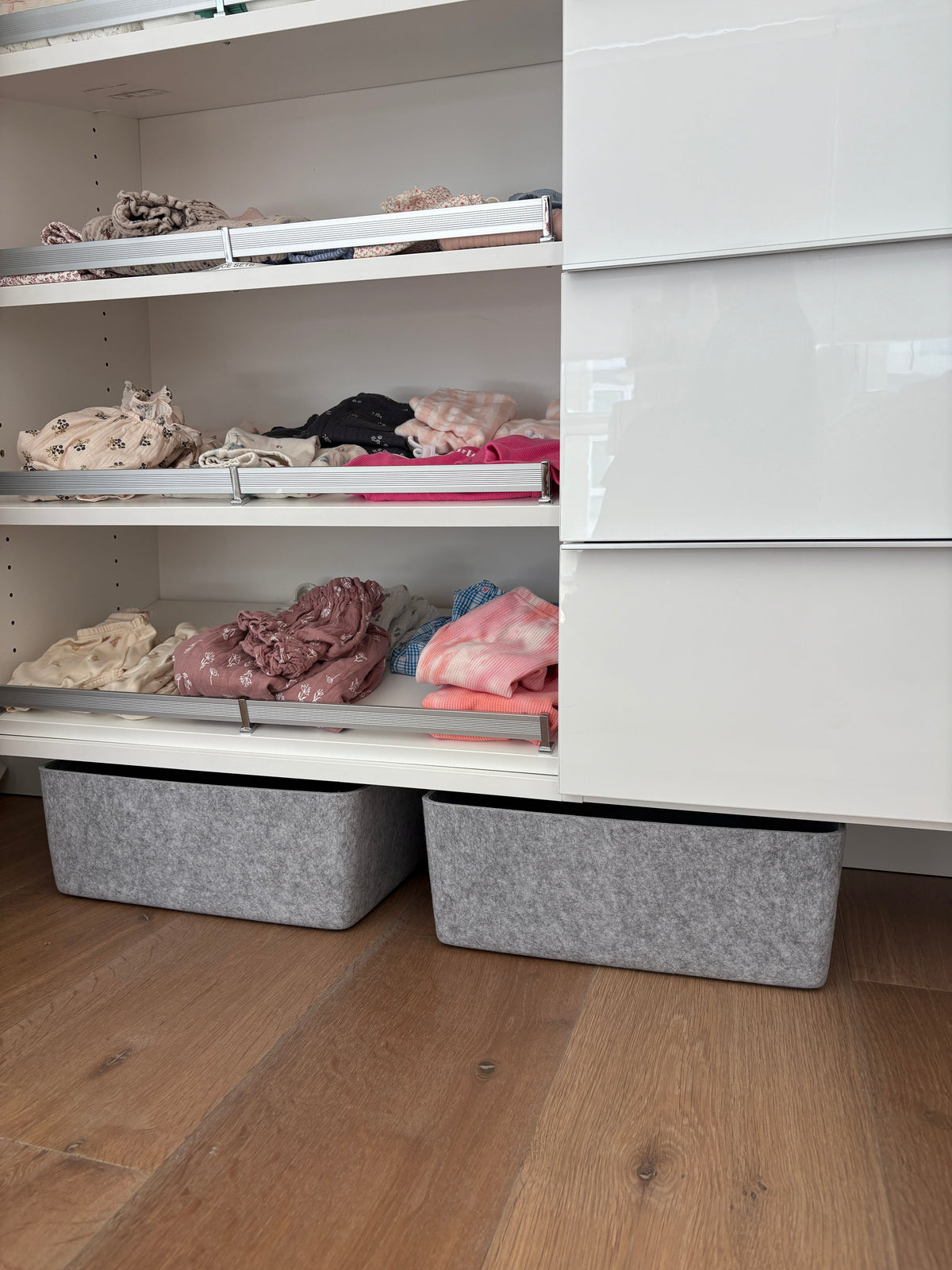 The Sculpted Bin - Large