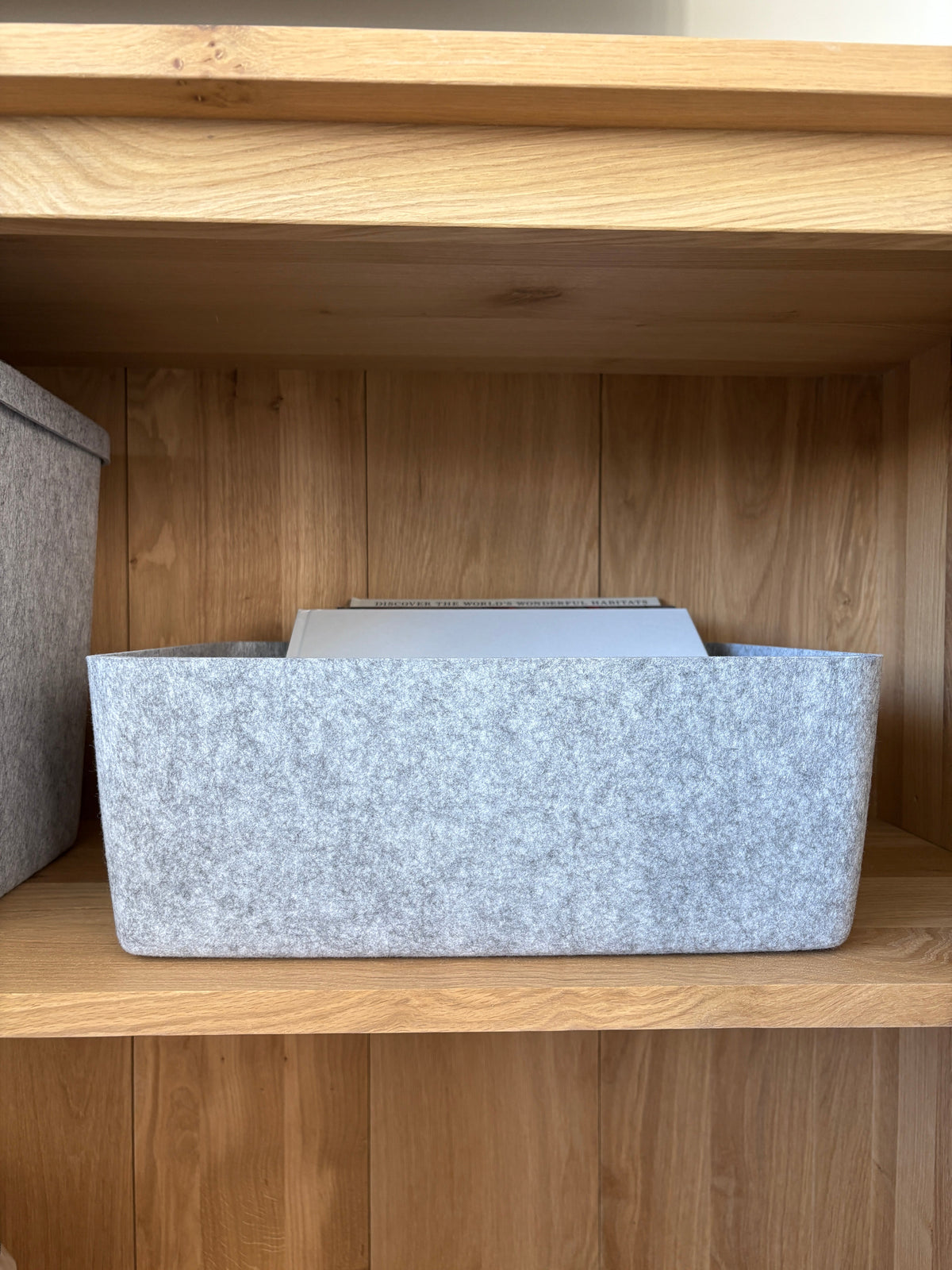 The Sculpted Bin - Large
