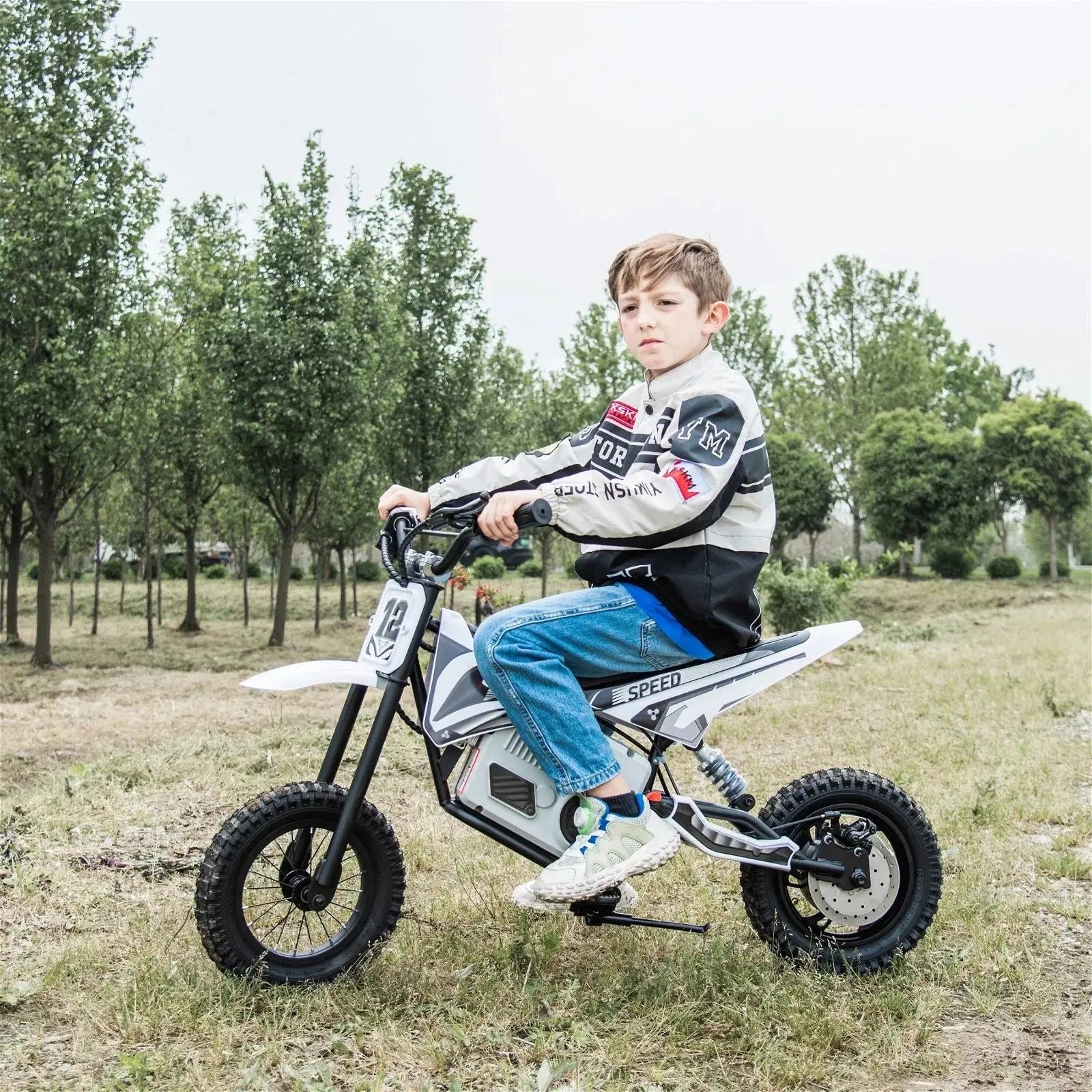 36v Freddo Electric Dirt Bike With Brushless Motor