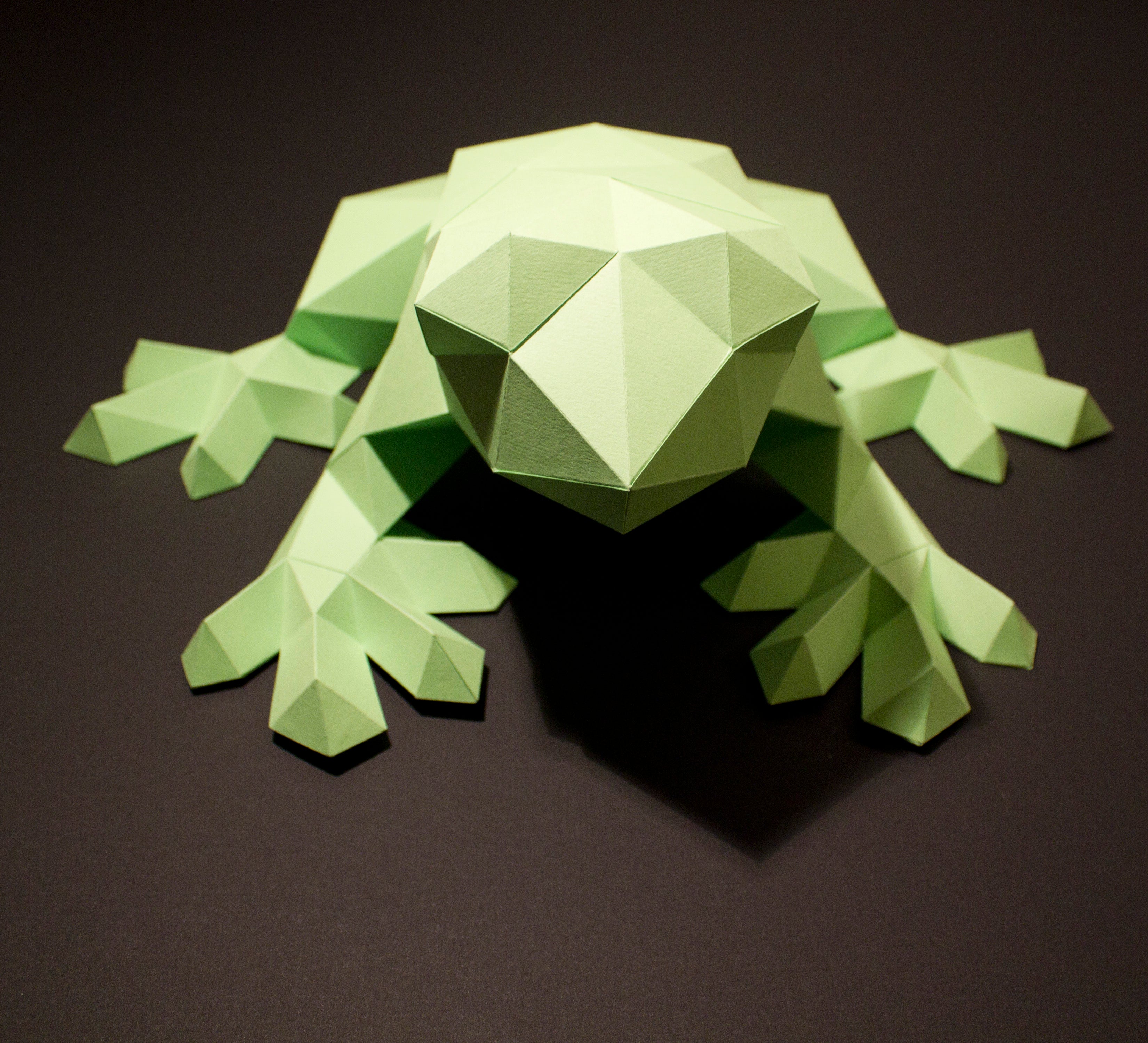 Darius The Frog | Diy Paper Craft Animal Kit