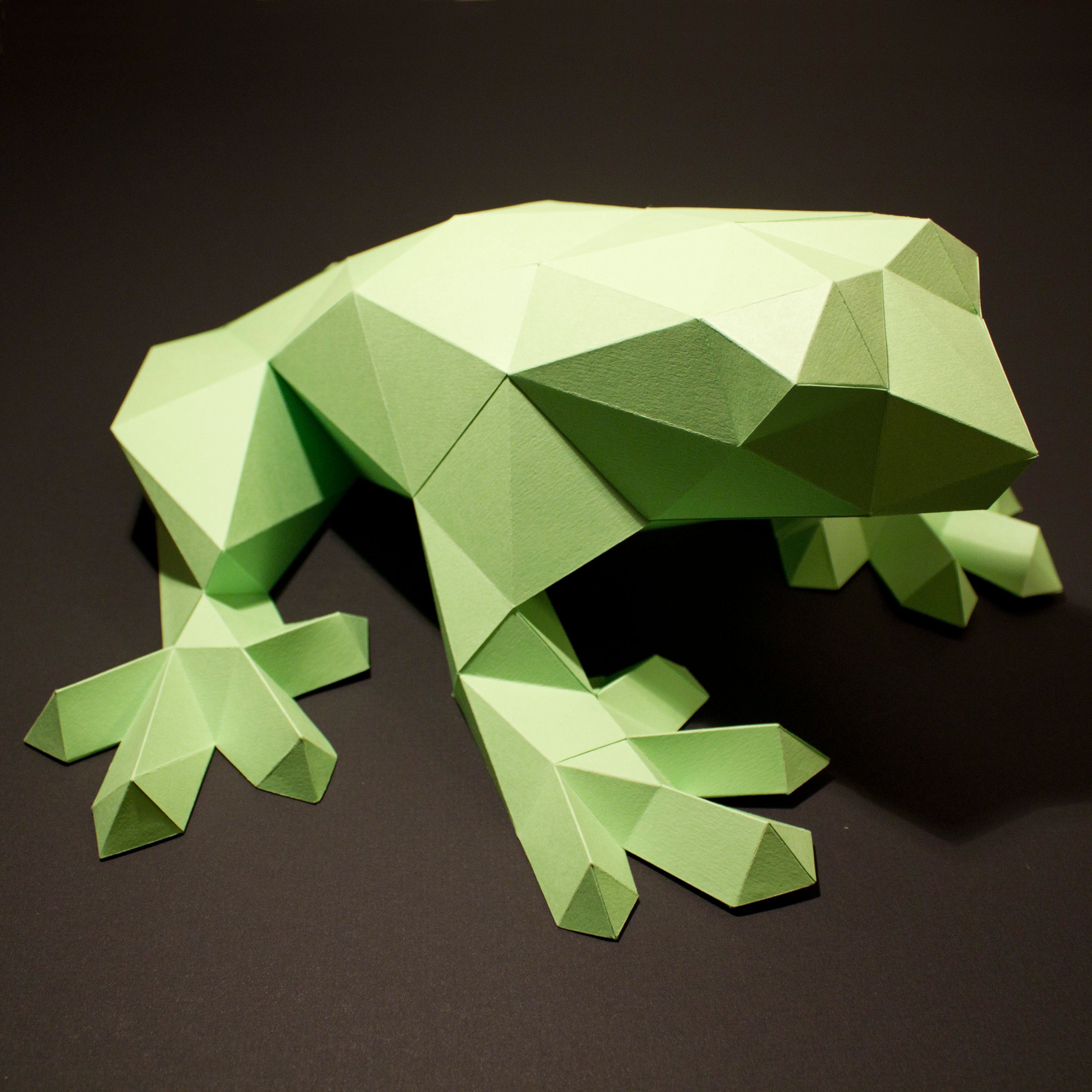 Darius The Frog | Diy Paper Craft Animal Kit