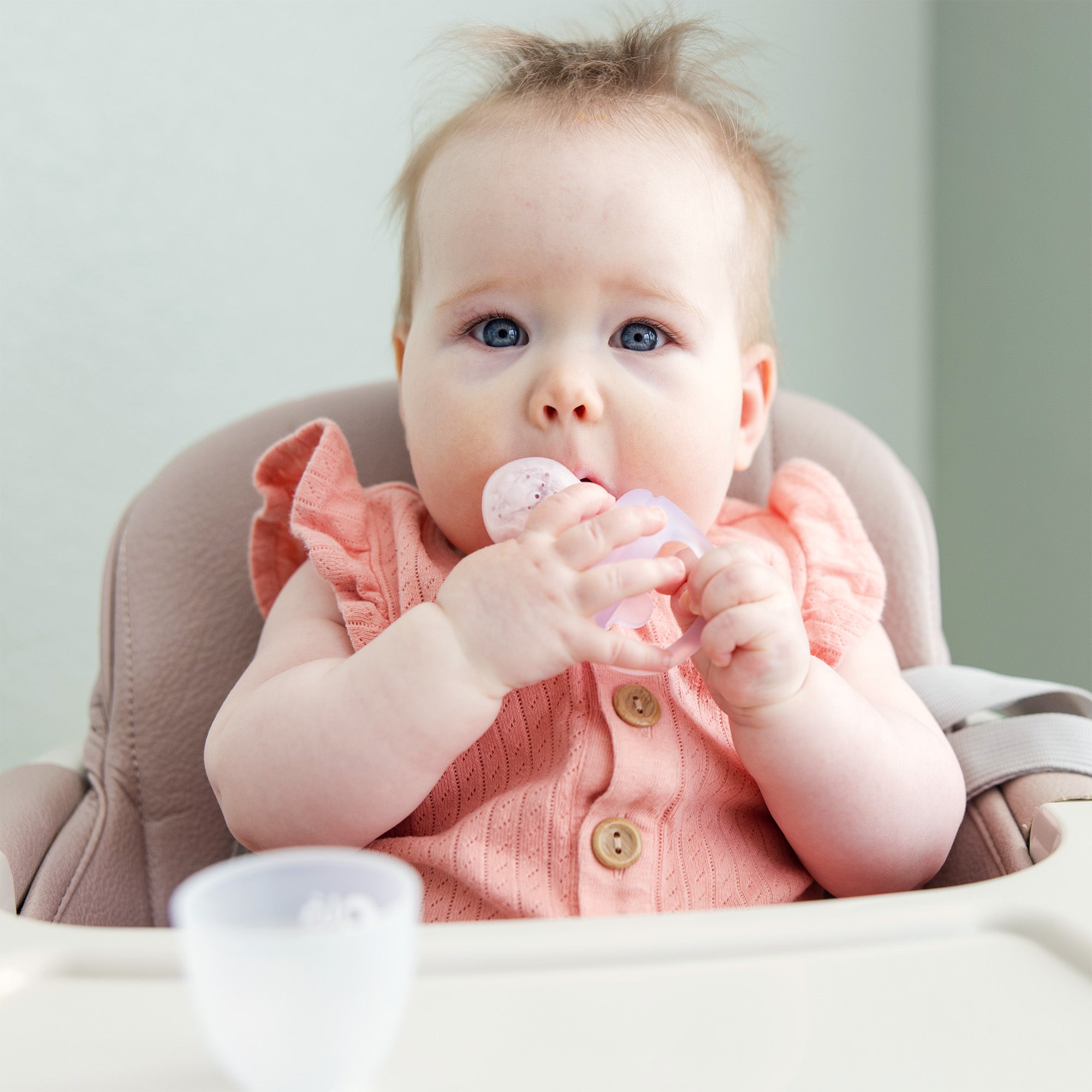 Food Feeder Set For Safe First Tastes & Teething Relief