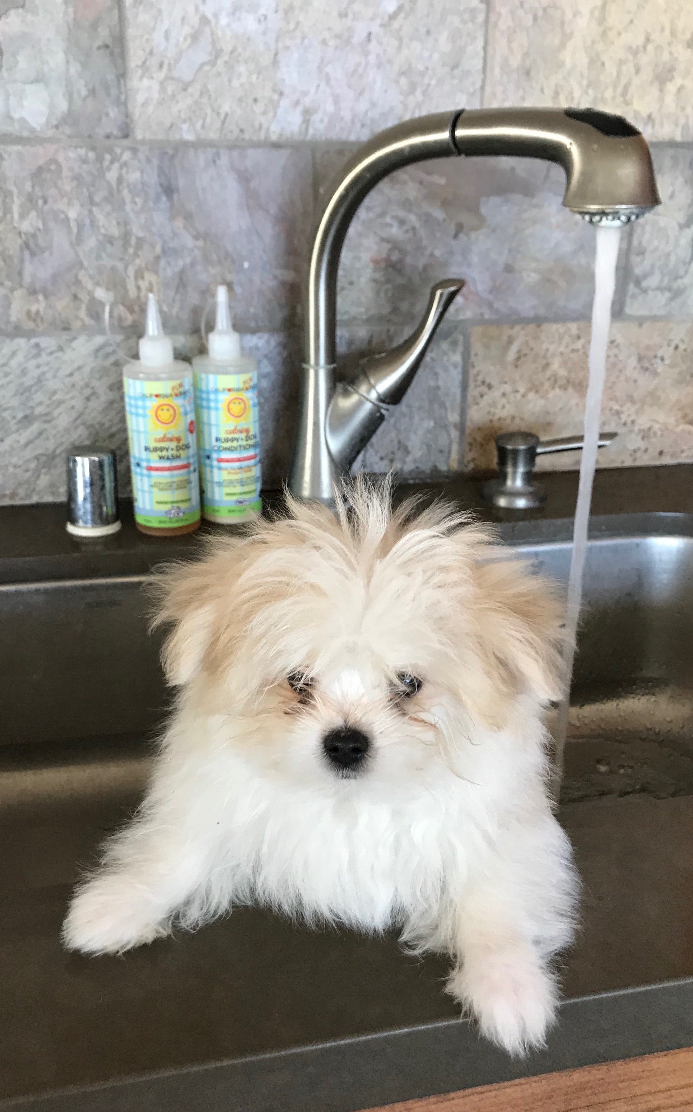 Calming™  Puppy + Dog Conditioner