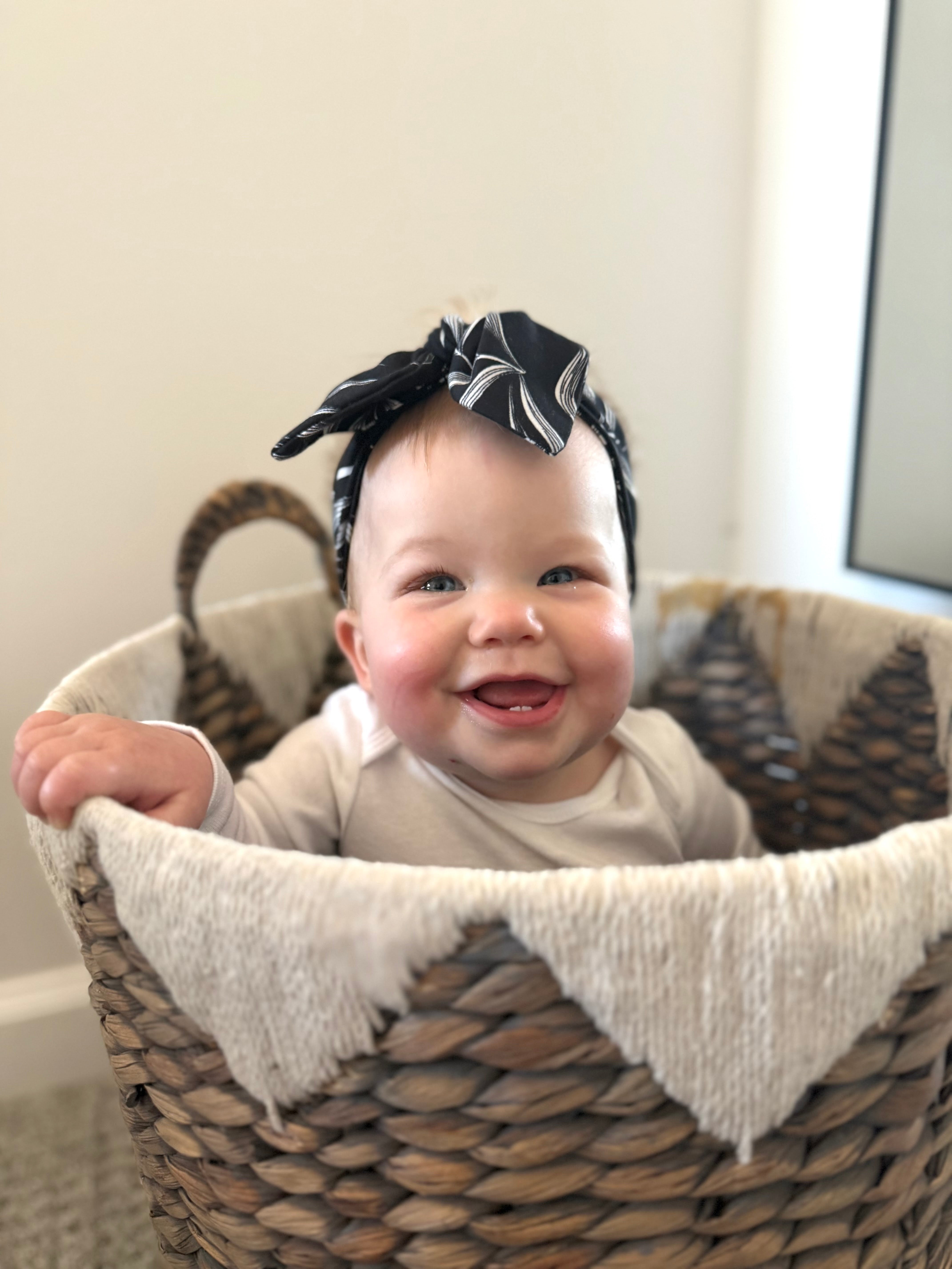 Black Pampas Leaves Headbands