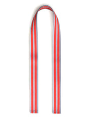 Park Bag Strap - Rush Hour