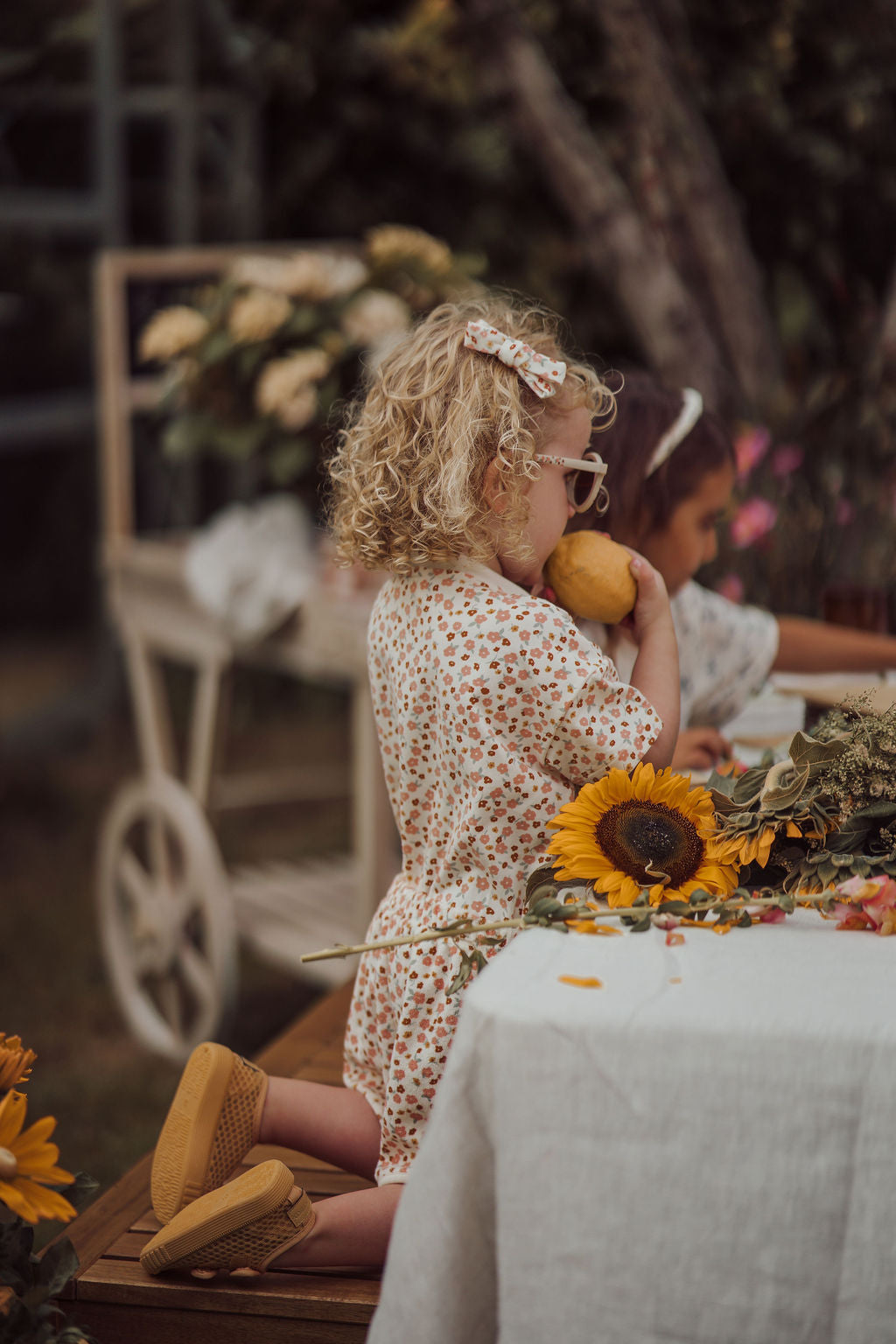 Single Bow Hair Clip | Organic | Sunset Meadow